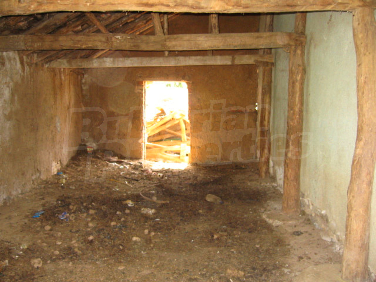 Gallery Picture 24