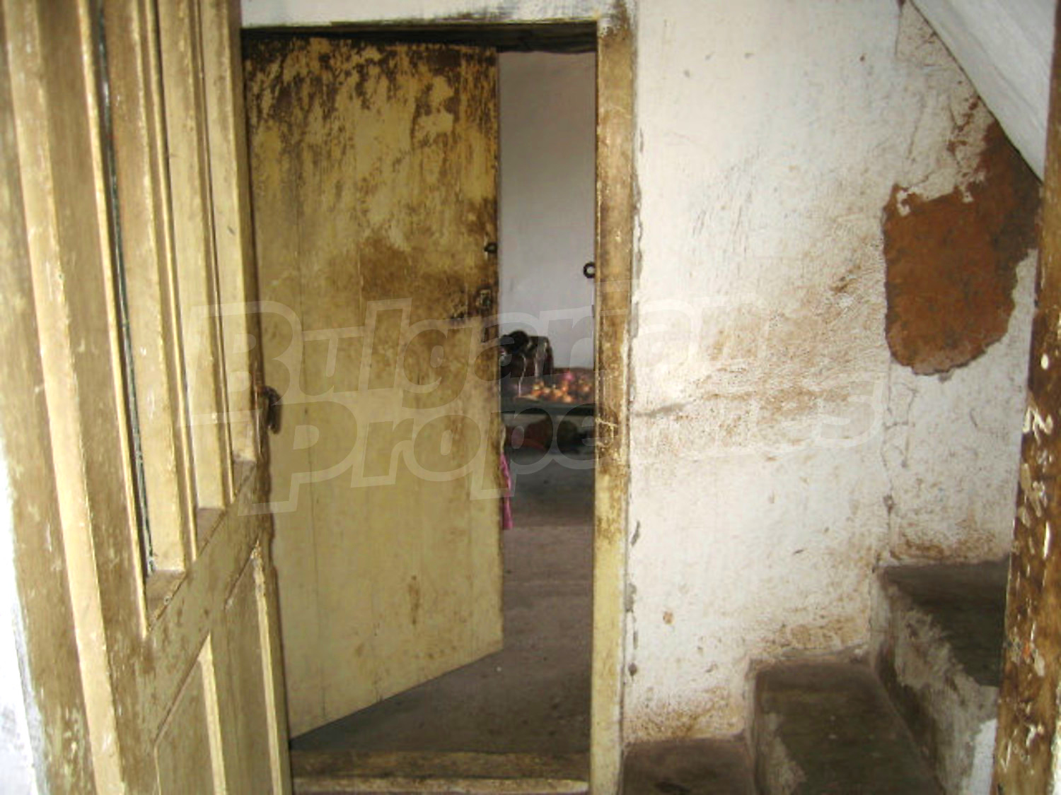 Gallery Picture 9