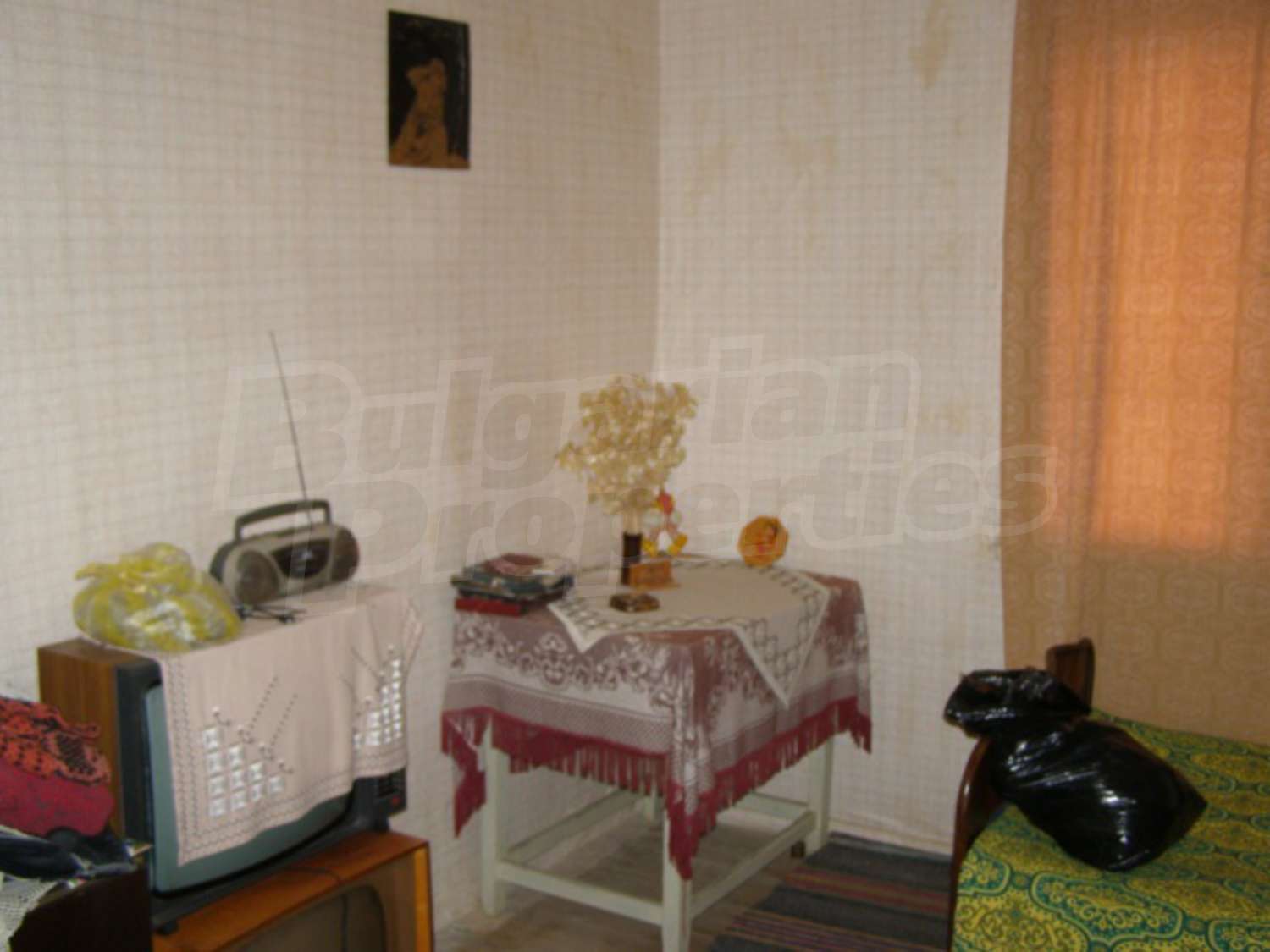 Gallery Picture 13