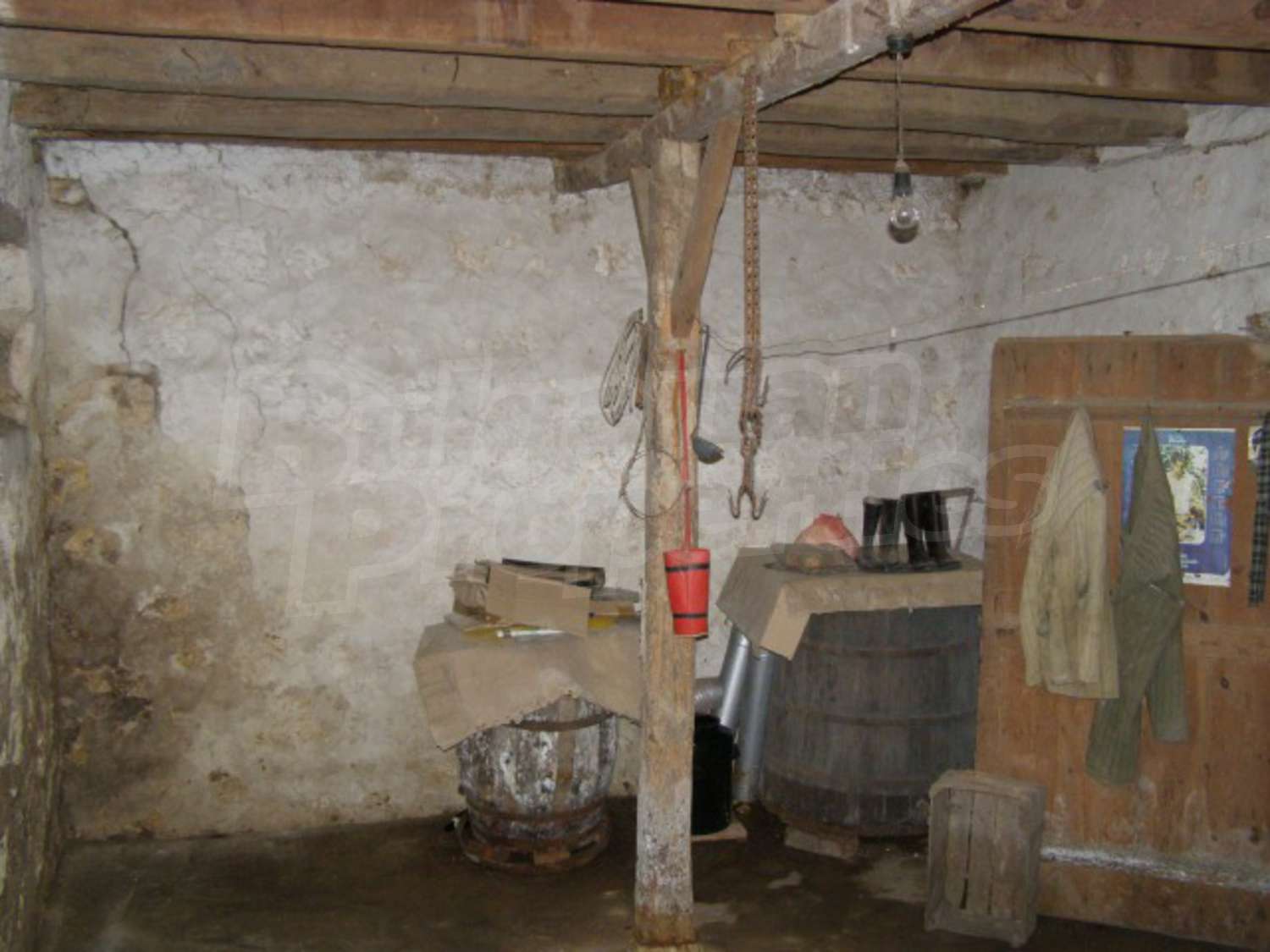 Gallery Picture 15