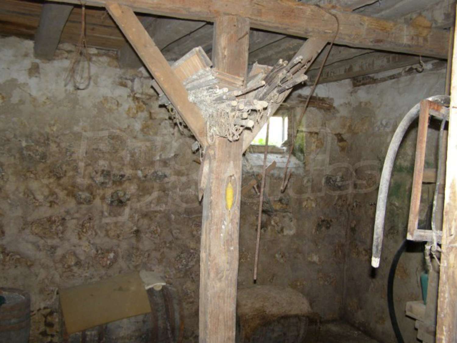 Gallery Picture 16
