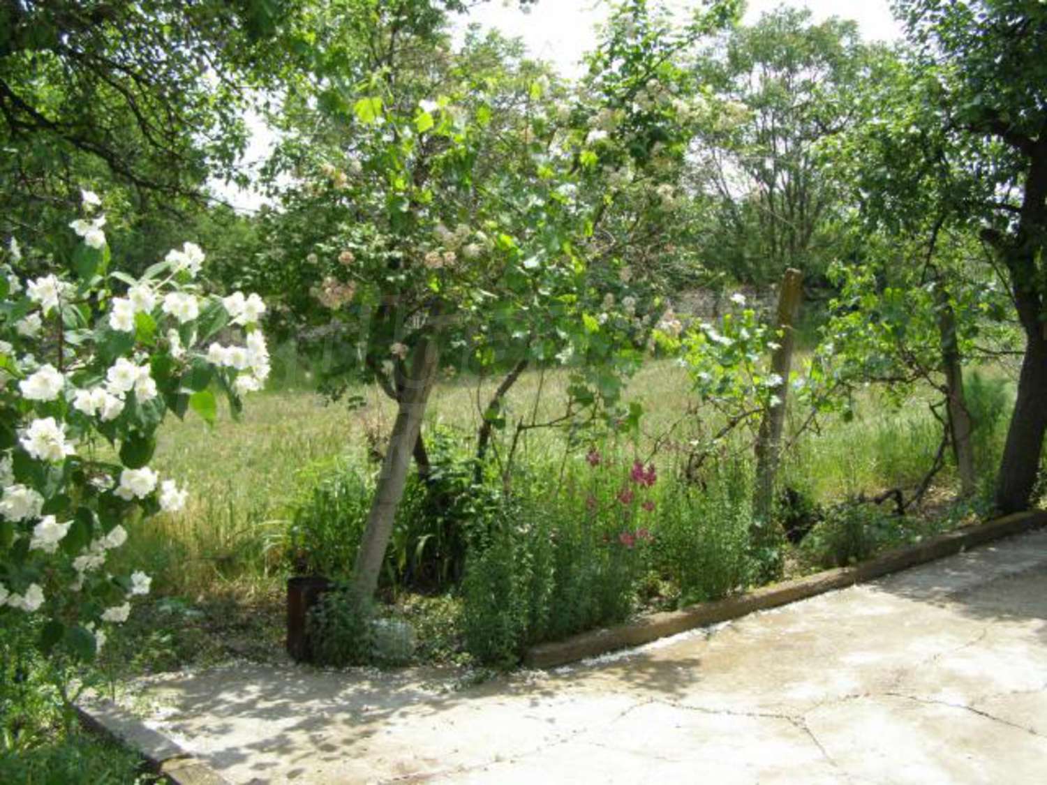 Gallery Picture 17