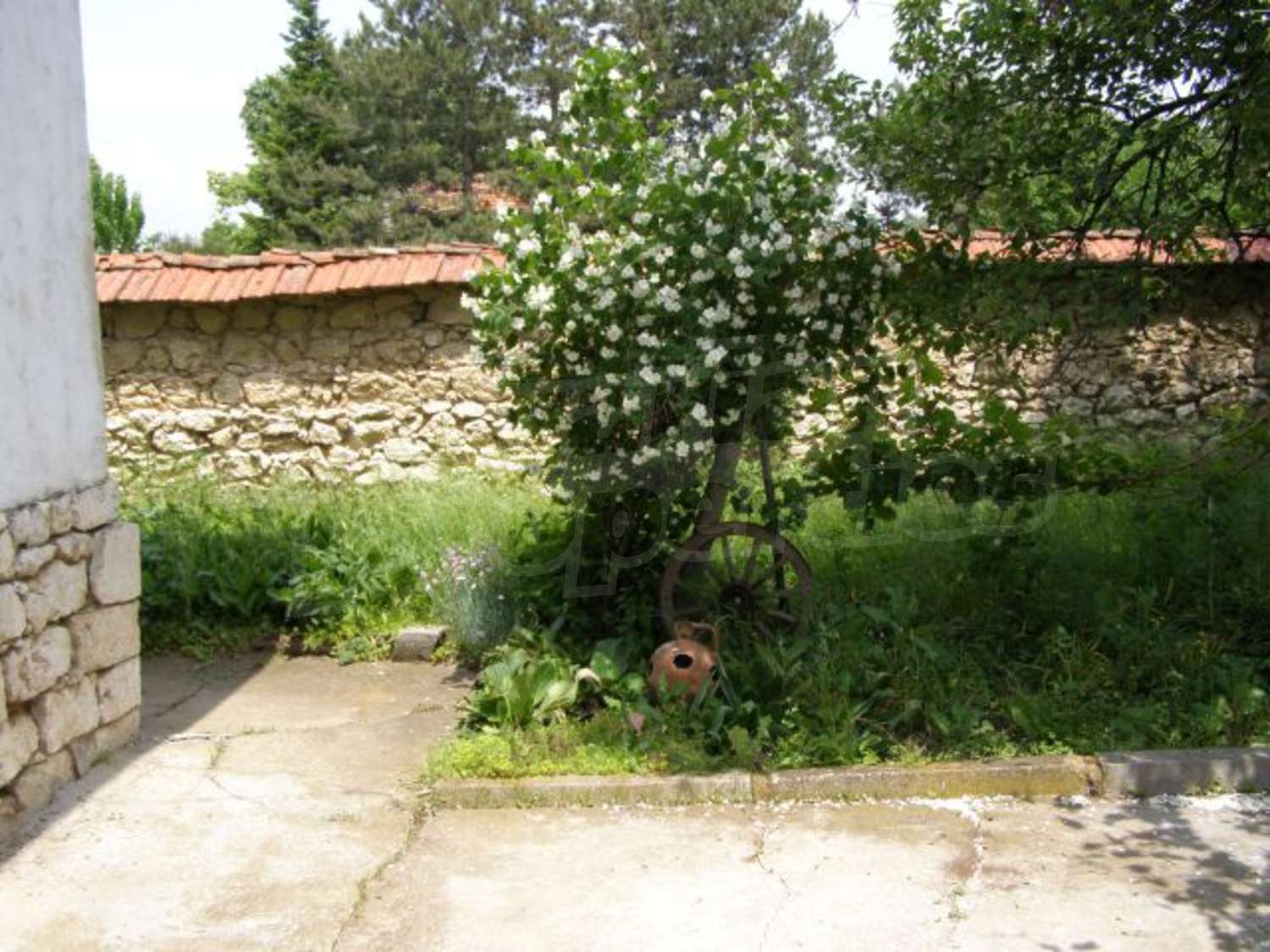 Gallery Picture 19