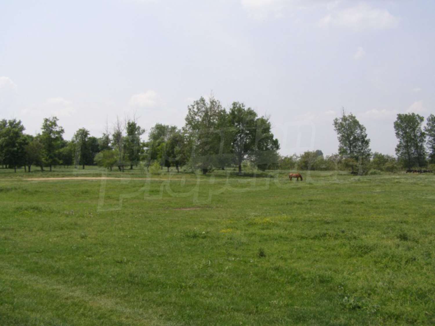 Gallery Picture 34