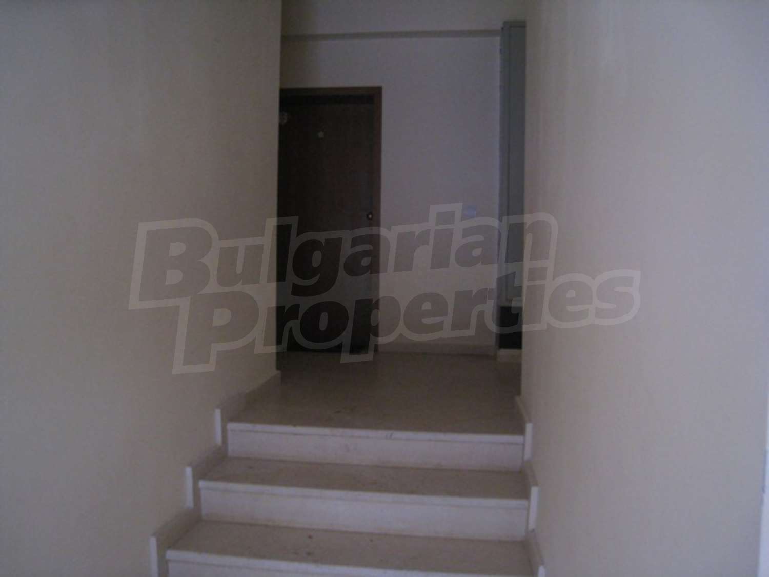 Gallery Picture 4