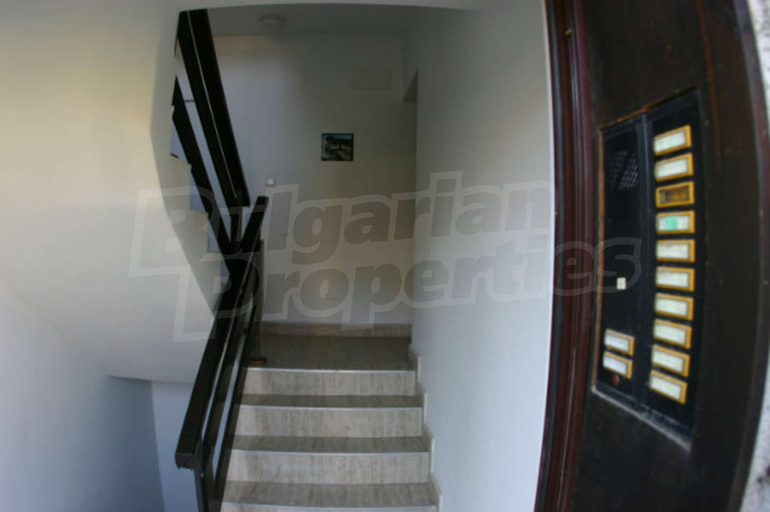 Gallery Picture 13