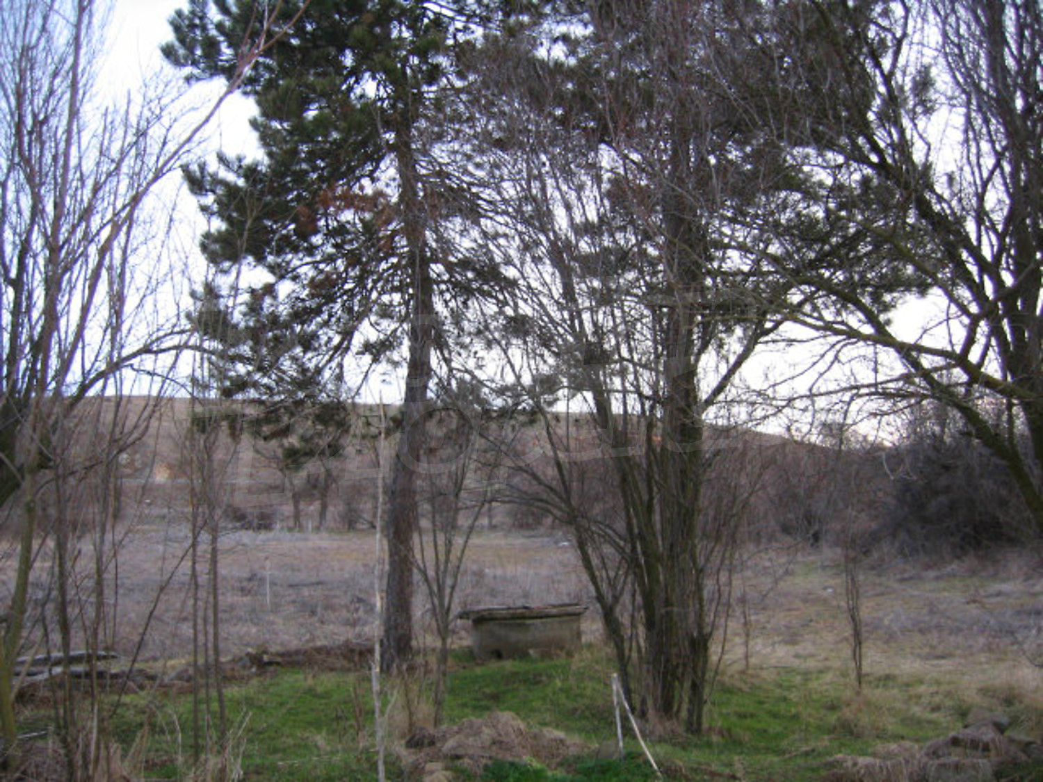 Gallery Picture 10