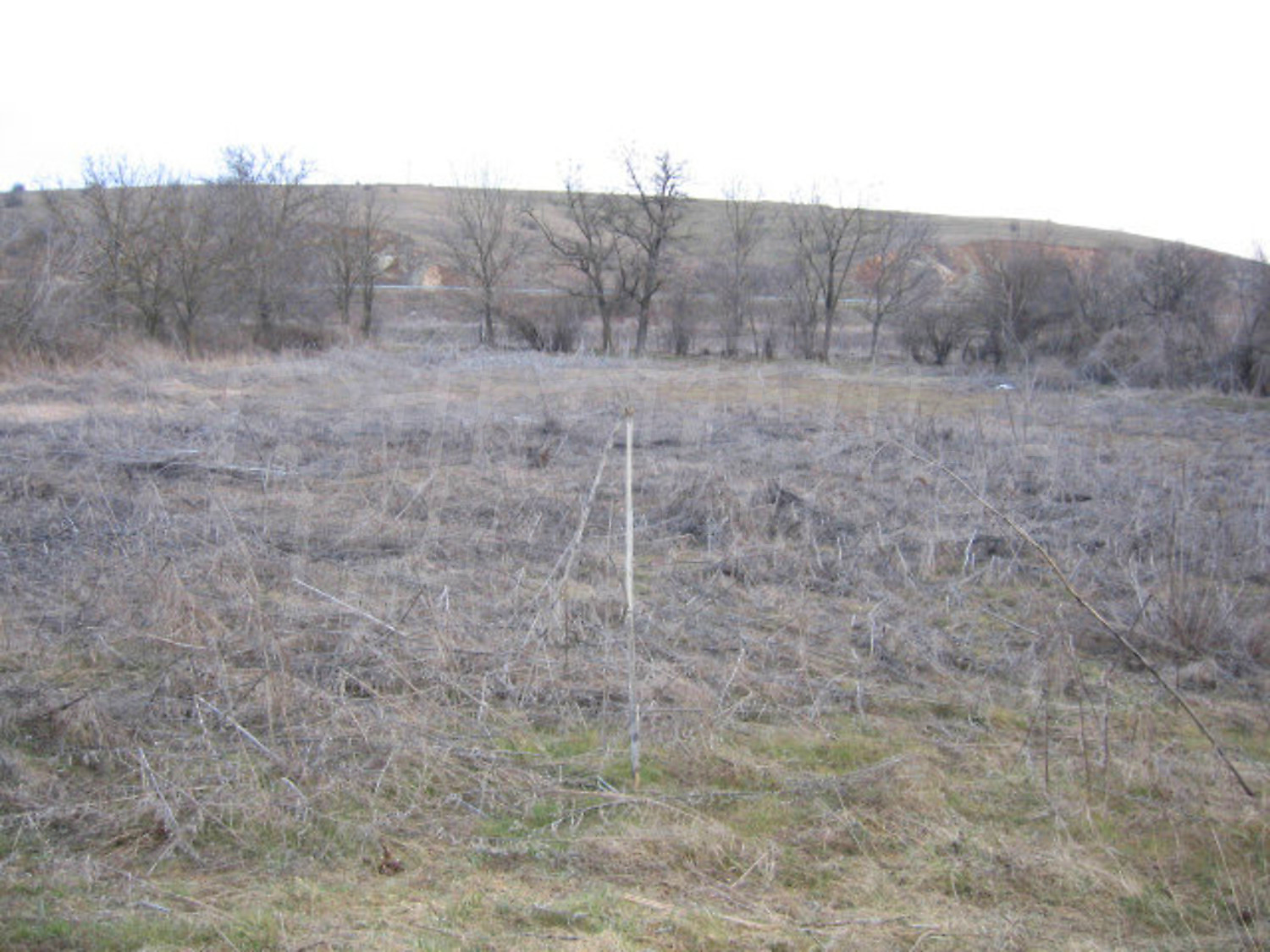 Gallery Picture 11