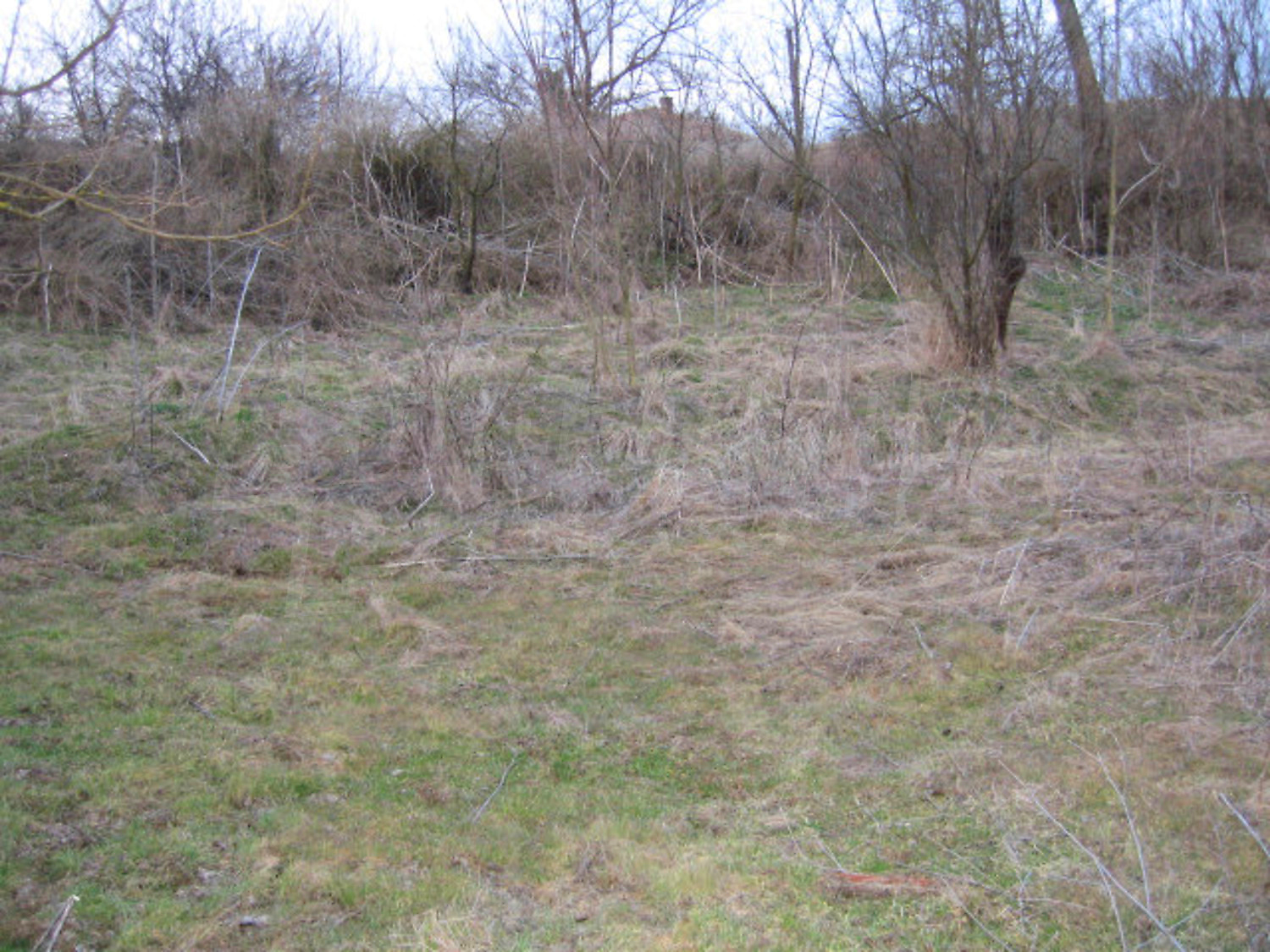 Gallery Picture 9