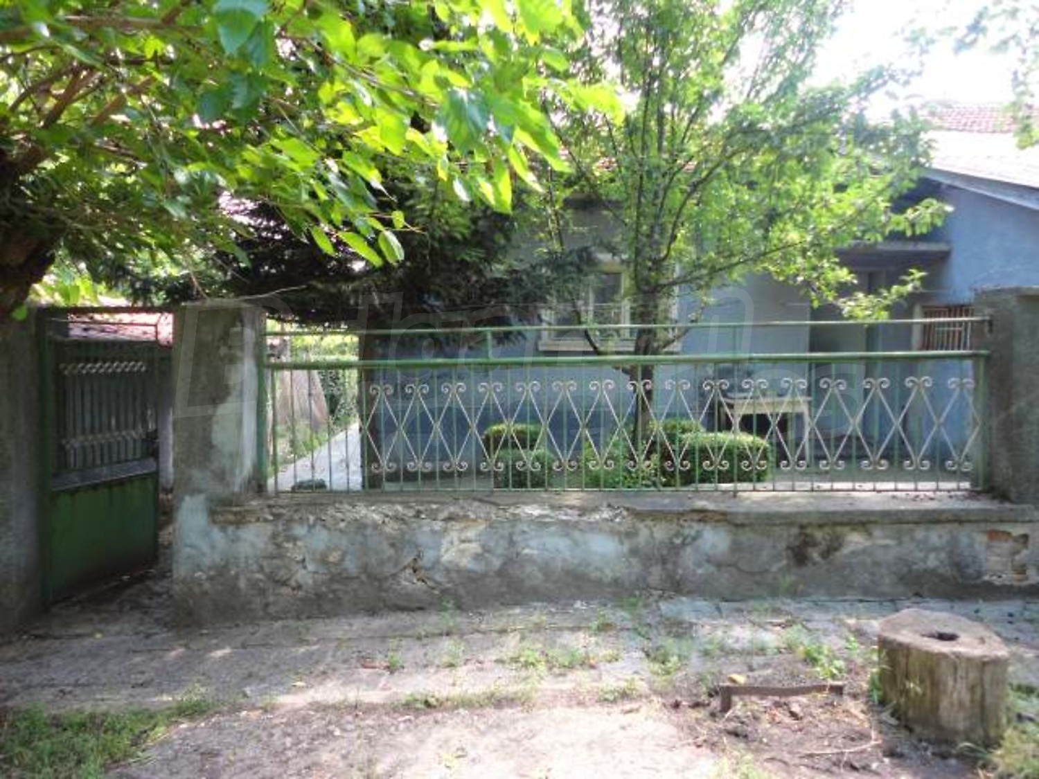 Gallery Picture 25