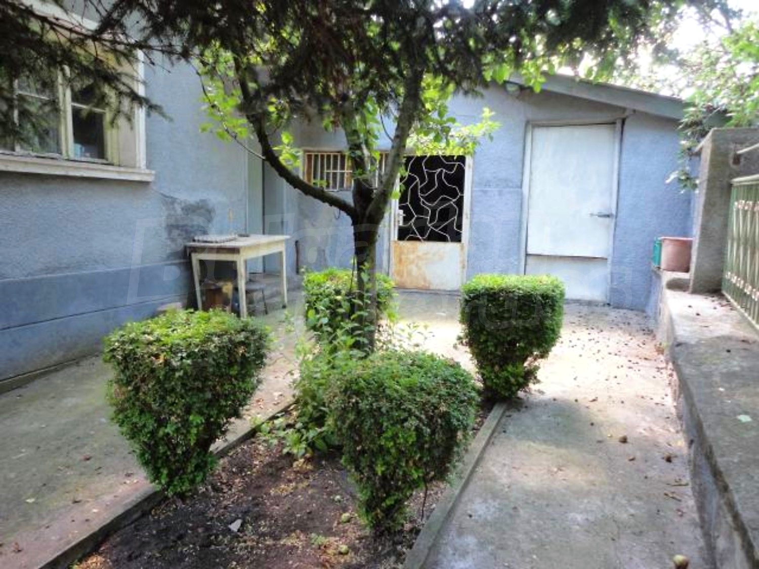 Gallery Picture 27