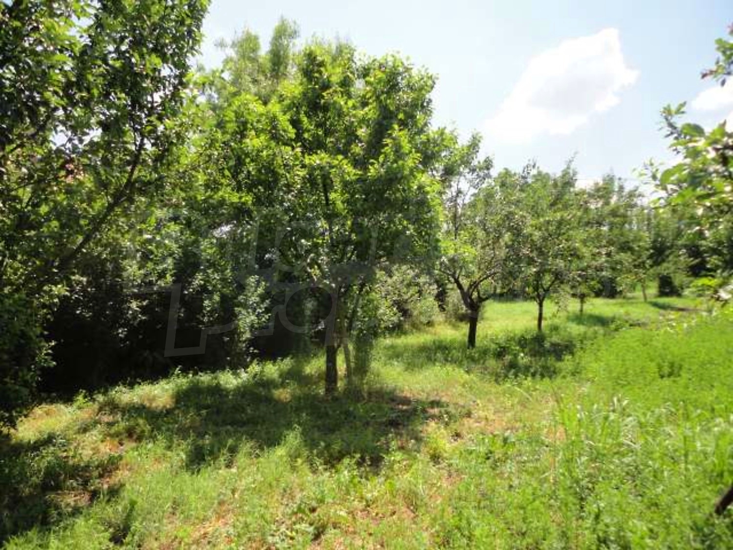 Gallery Picture 28