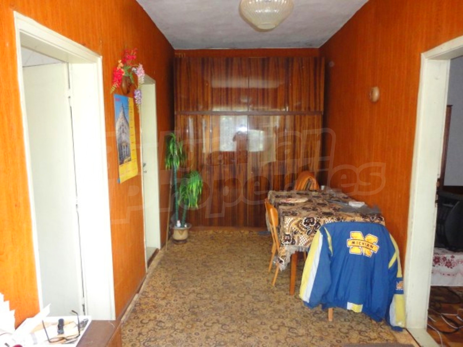 Gallery Picture 5