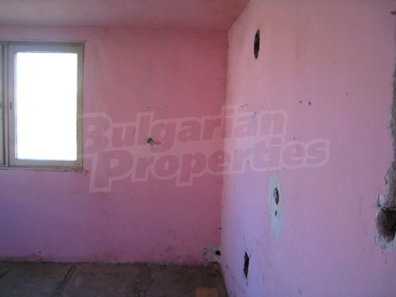 Gallery Picture 10