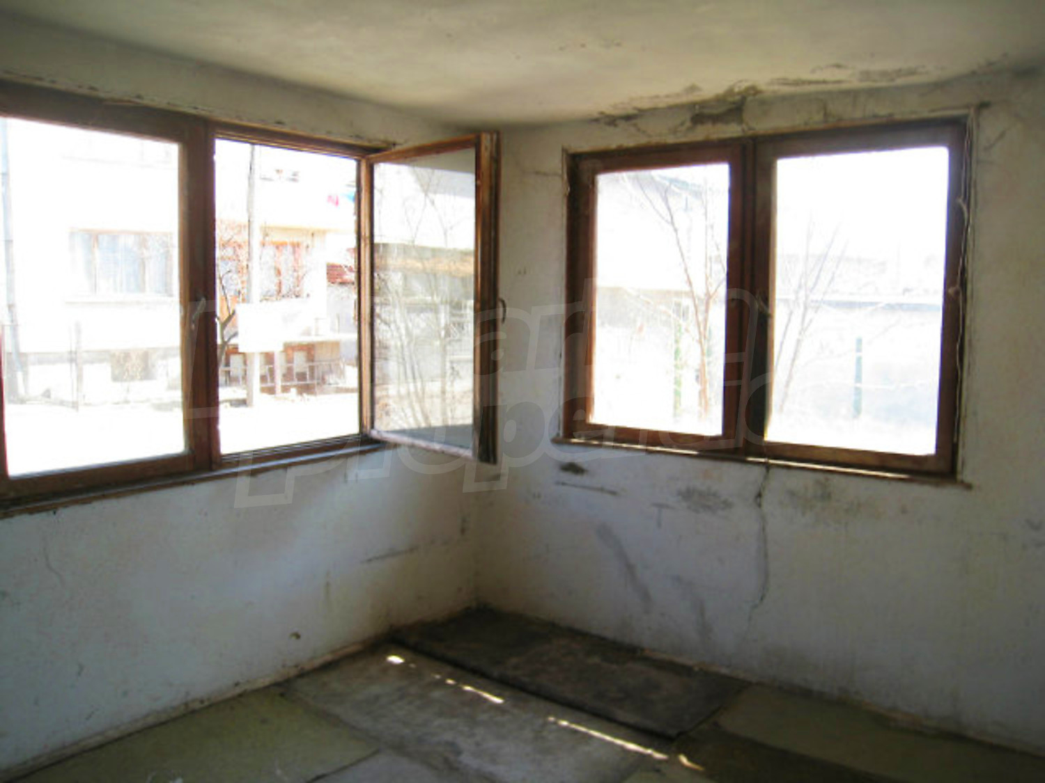 Gallery Picture 11