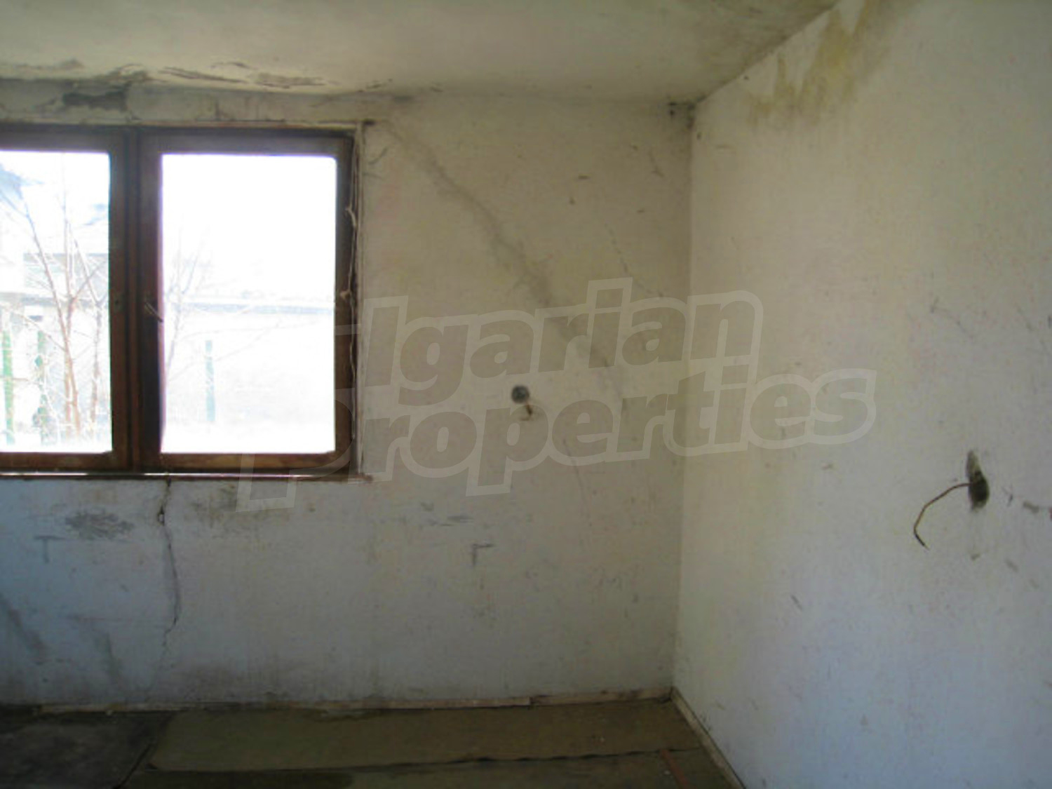 Gallery Picture 12