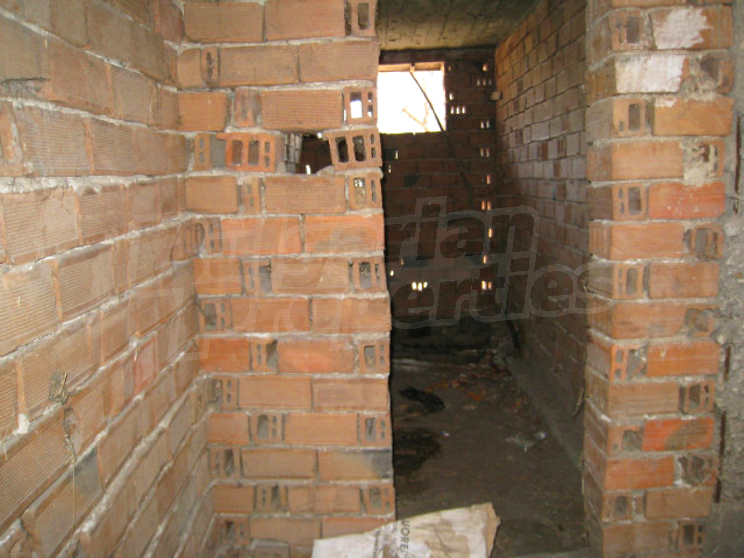 Gallery Picture 14