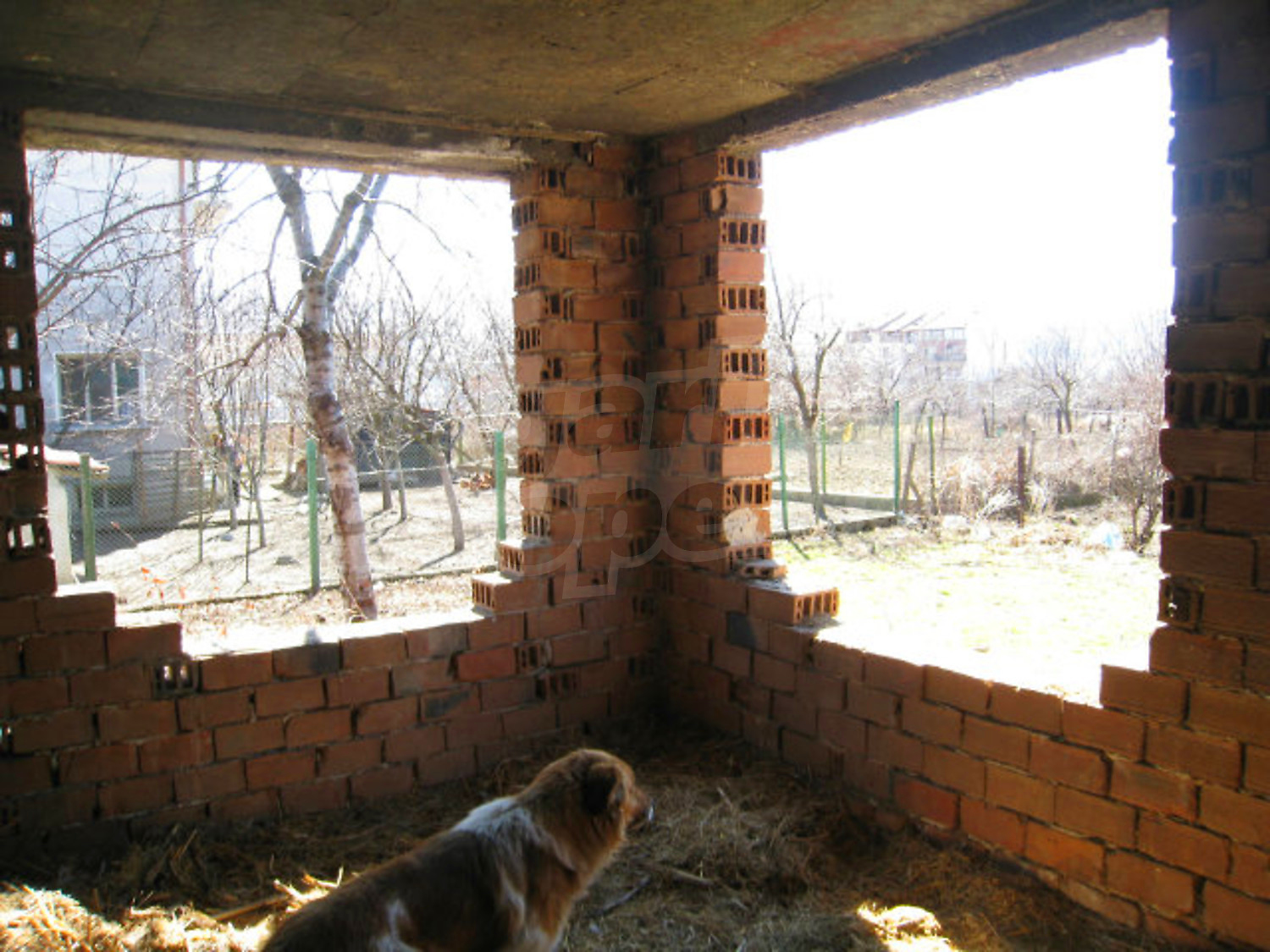 Gallery Picture 17