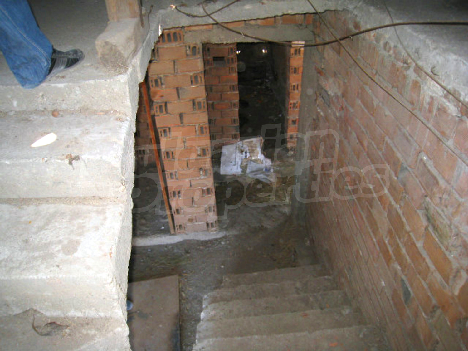 Gallery Picture 19