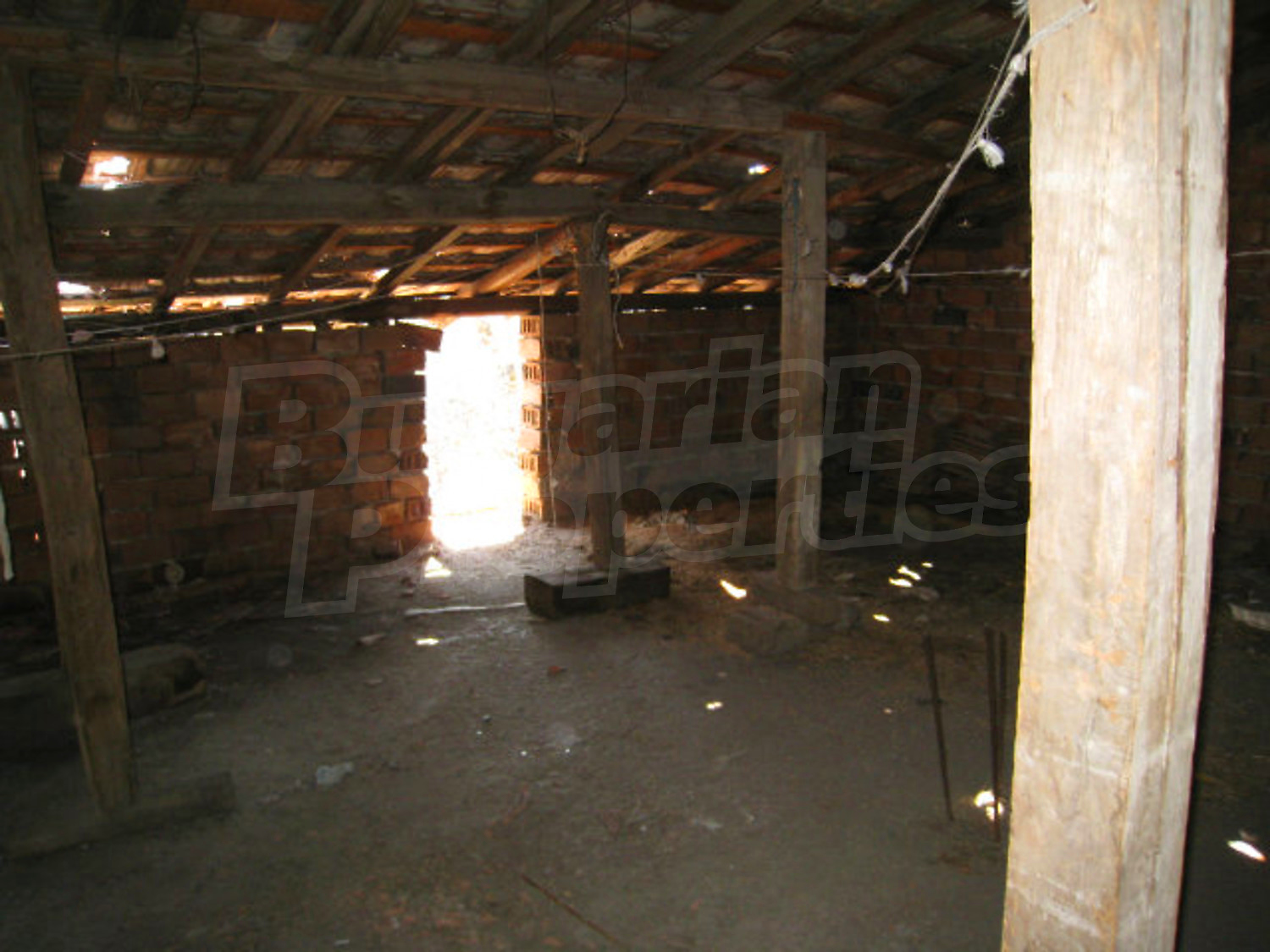 Gallery Picture 22