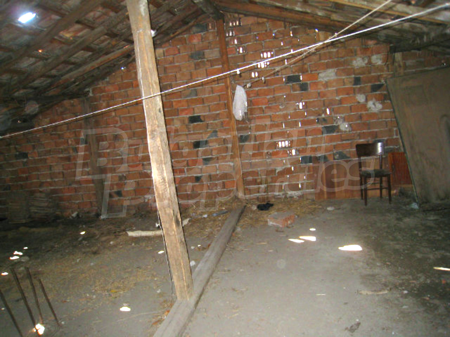 Gallery Picture 23