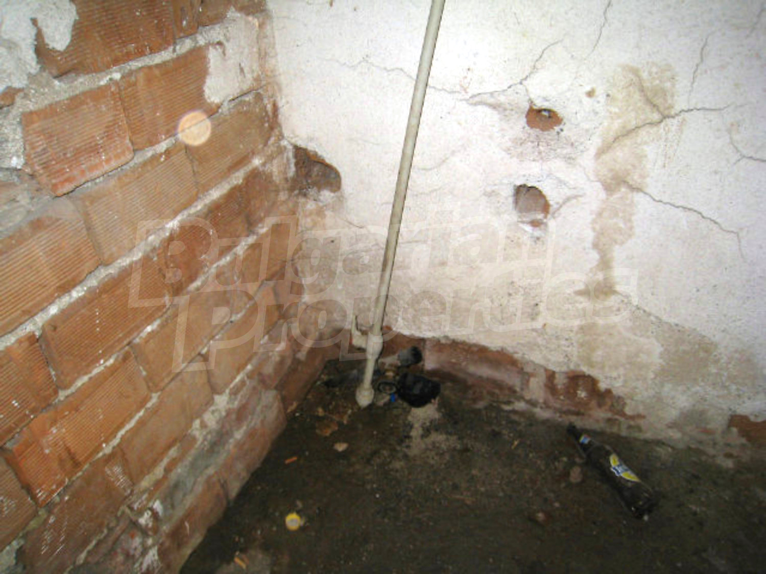Gallery Picture 26