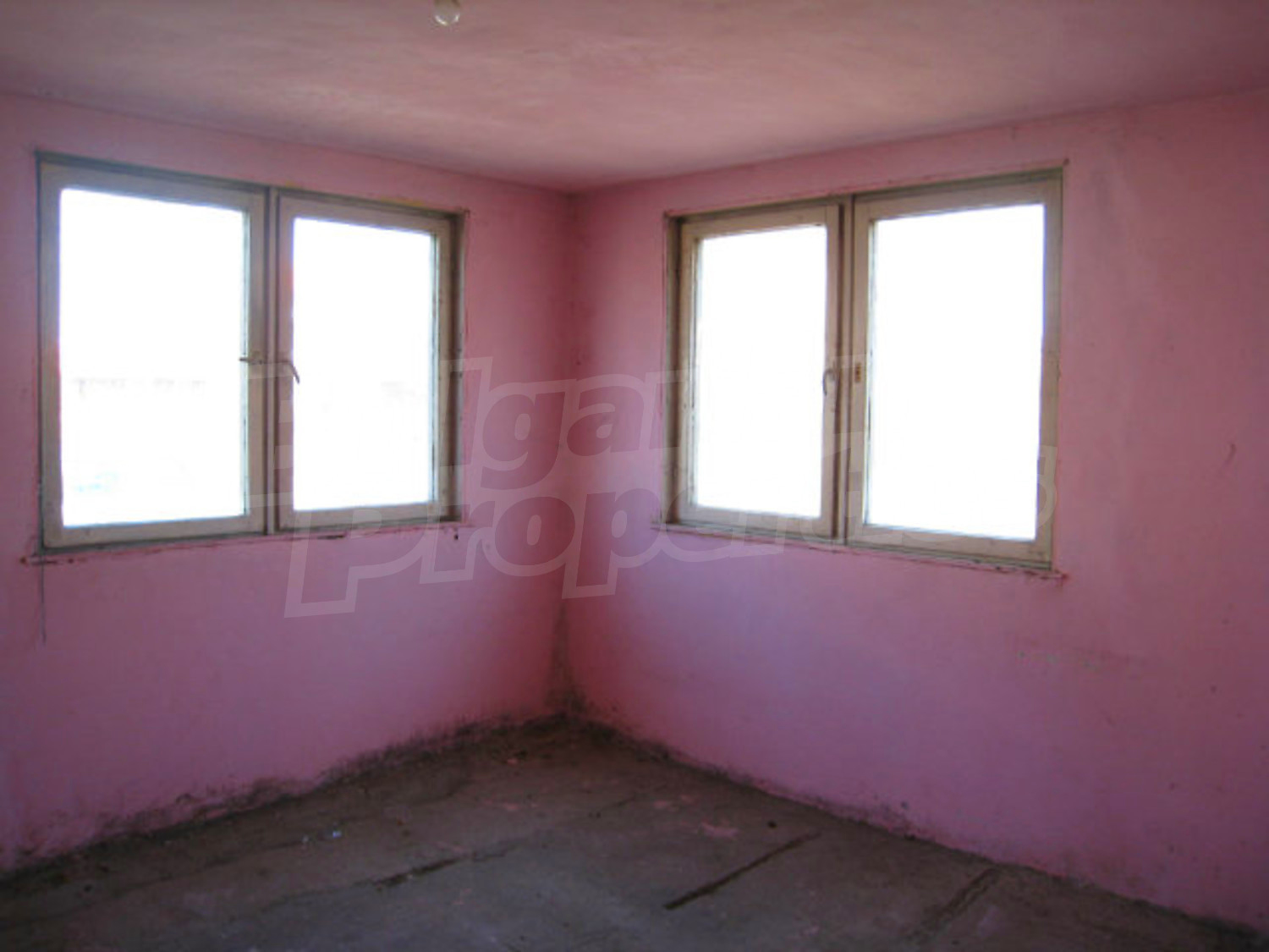Gallery Picture 8