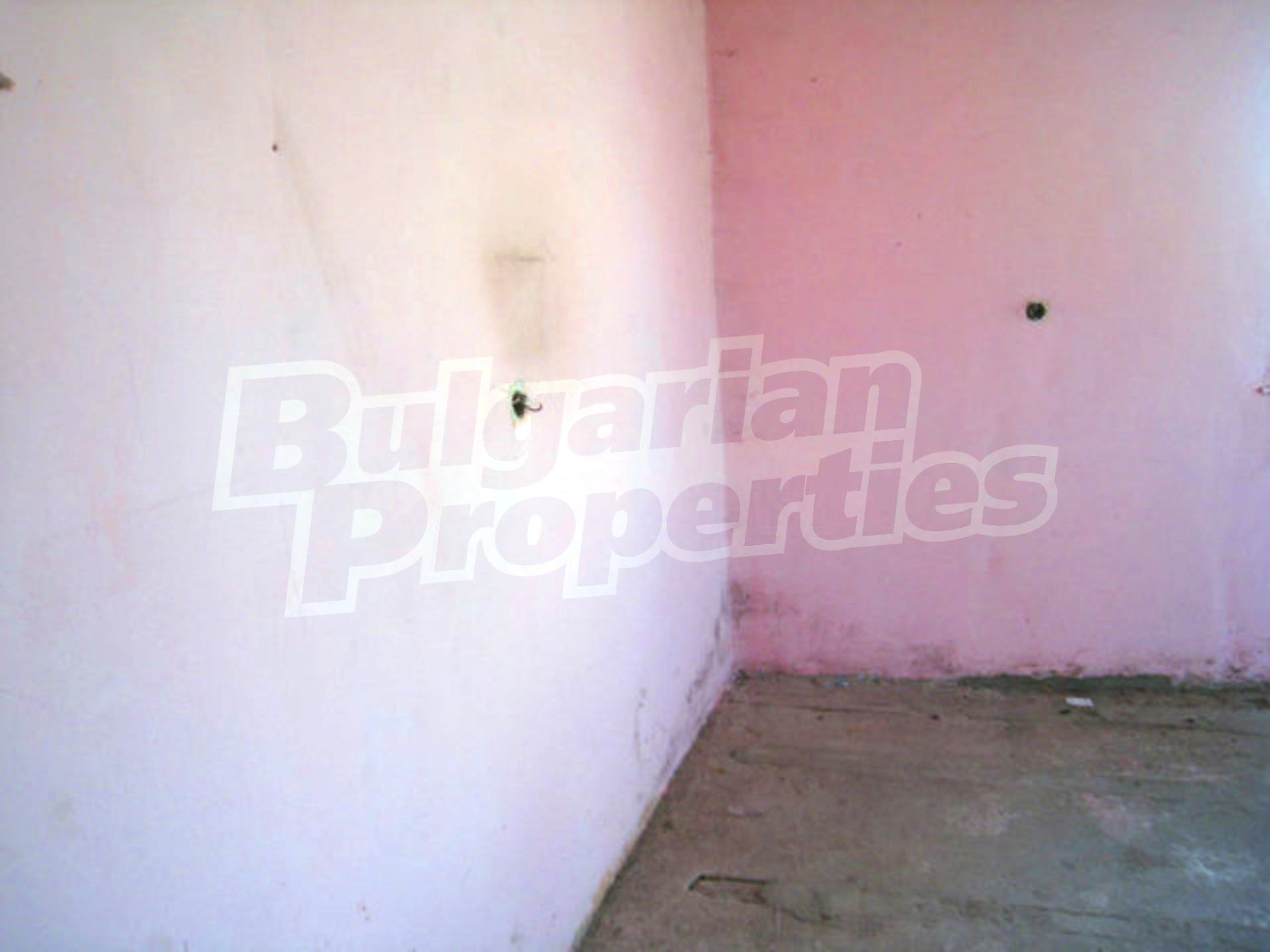 Gallery Picture 9