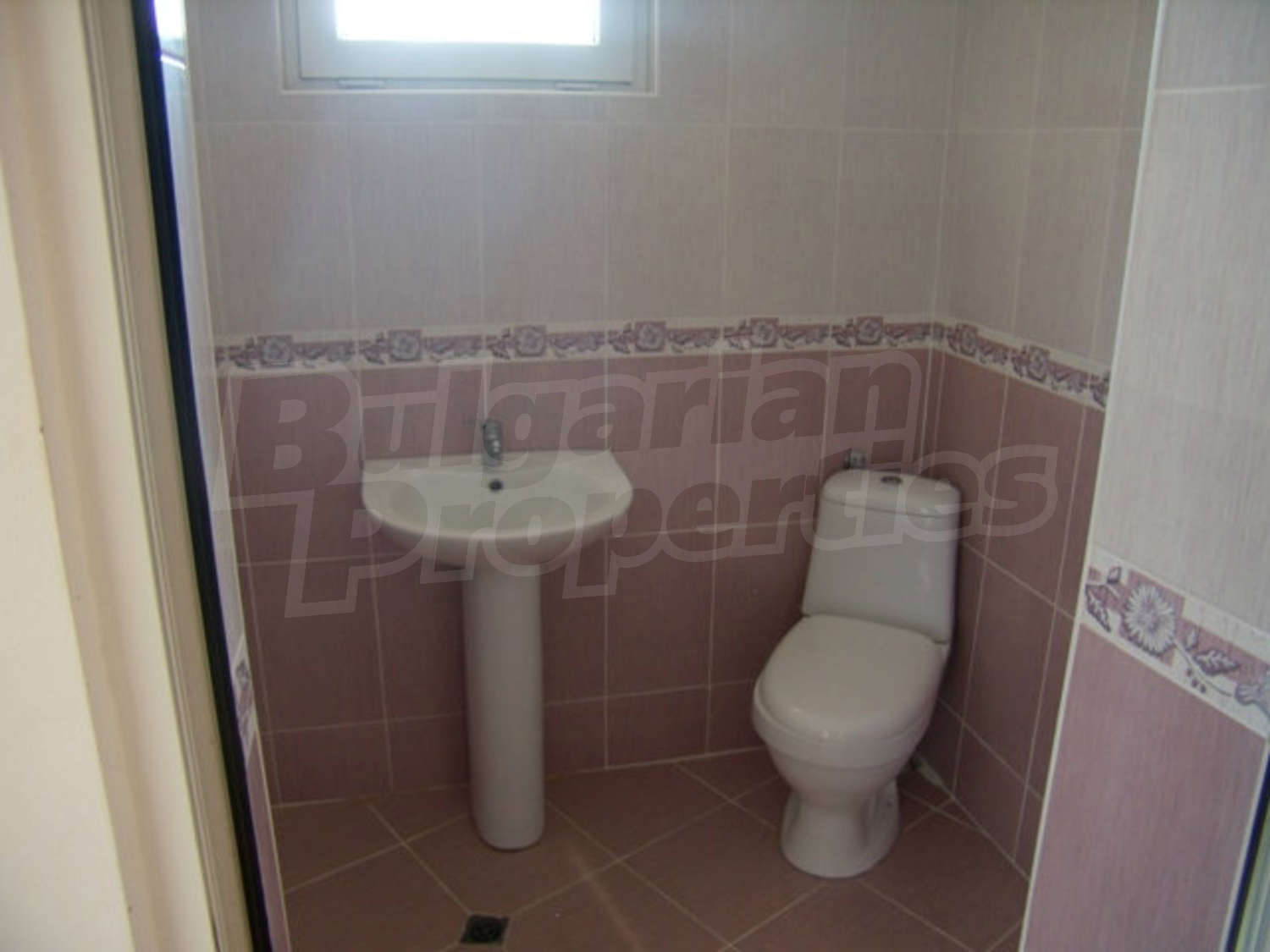 Gallery Picture 17