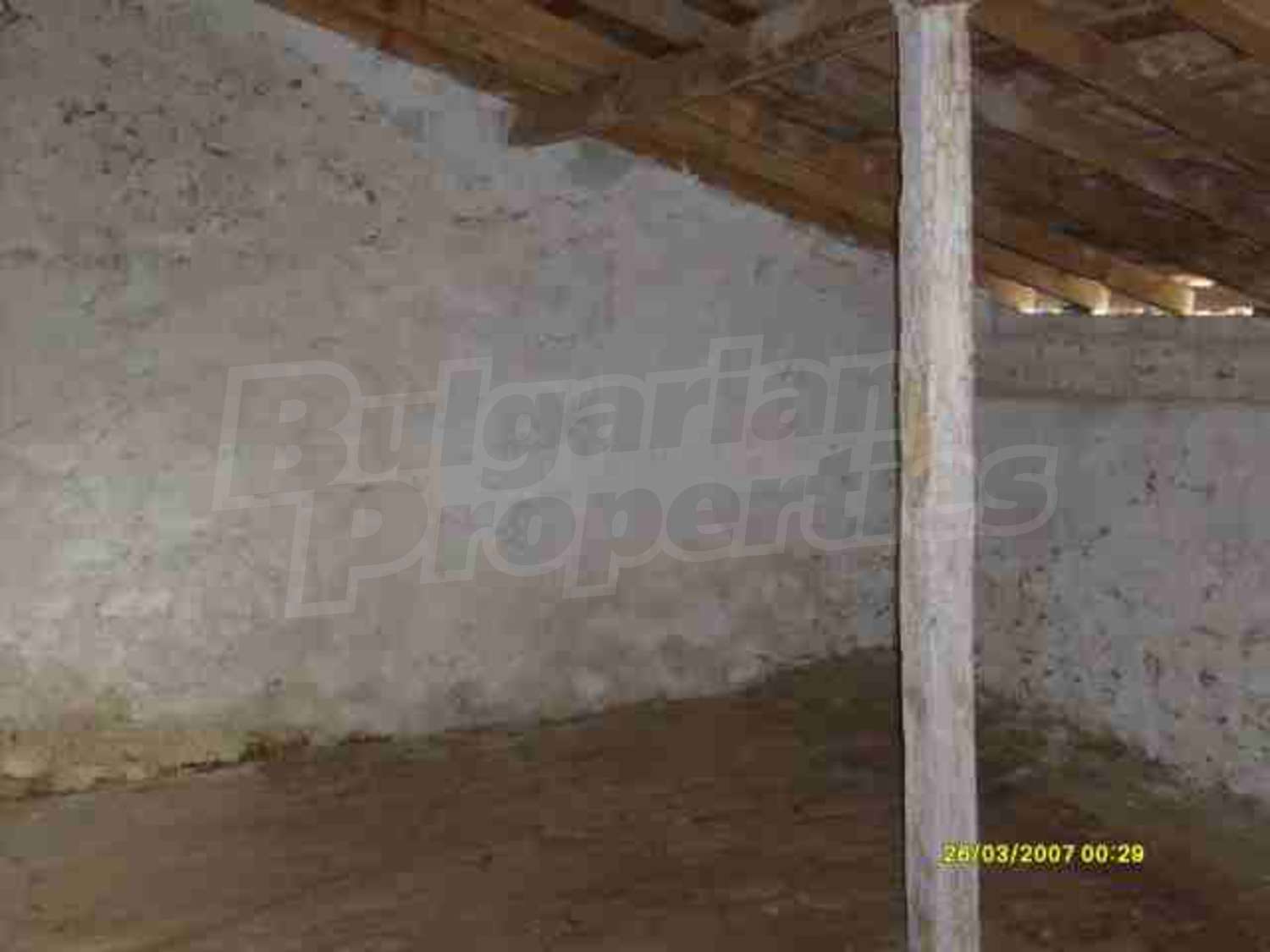 Gallery Picture 23