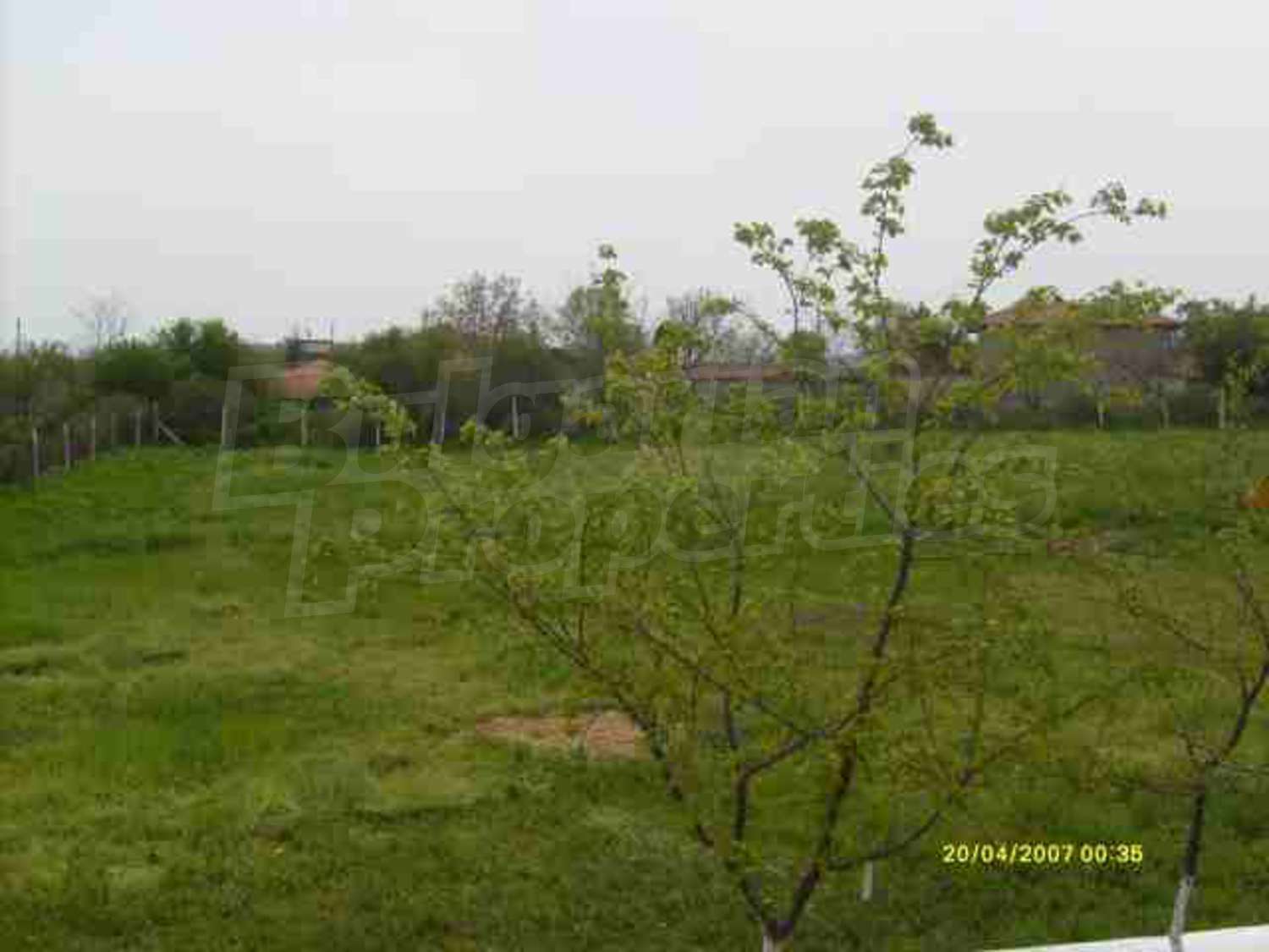 Gallery Picture 26
