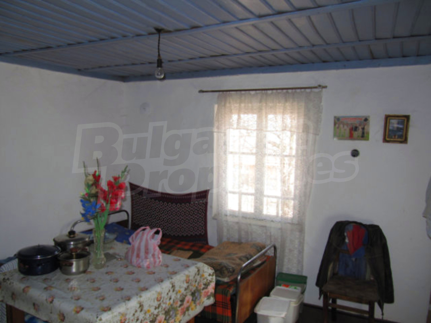 Gallery Picture 16
