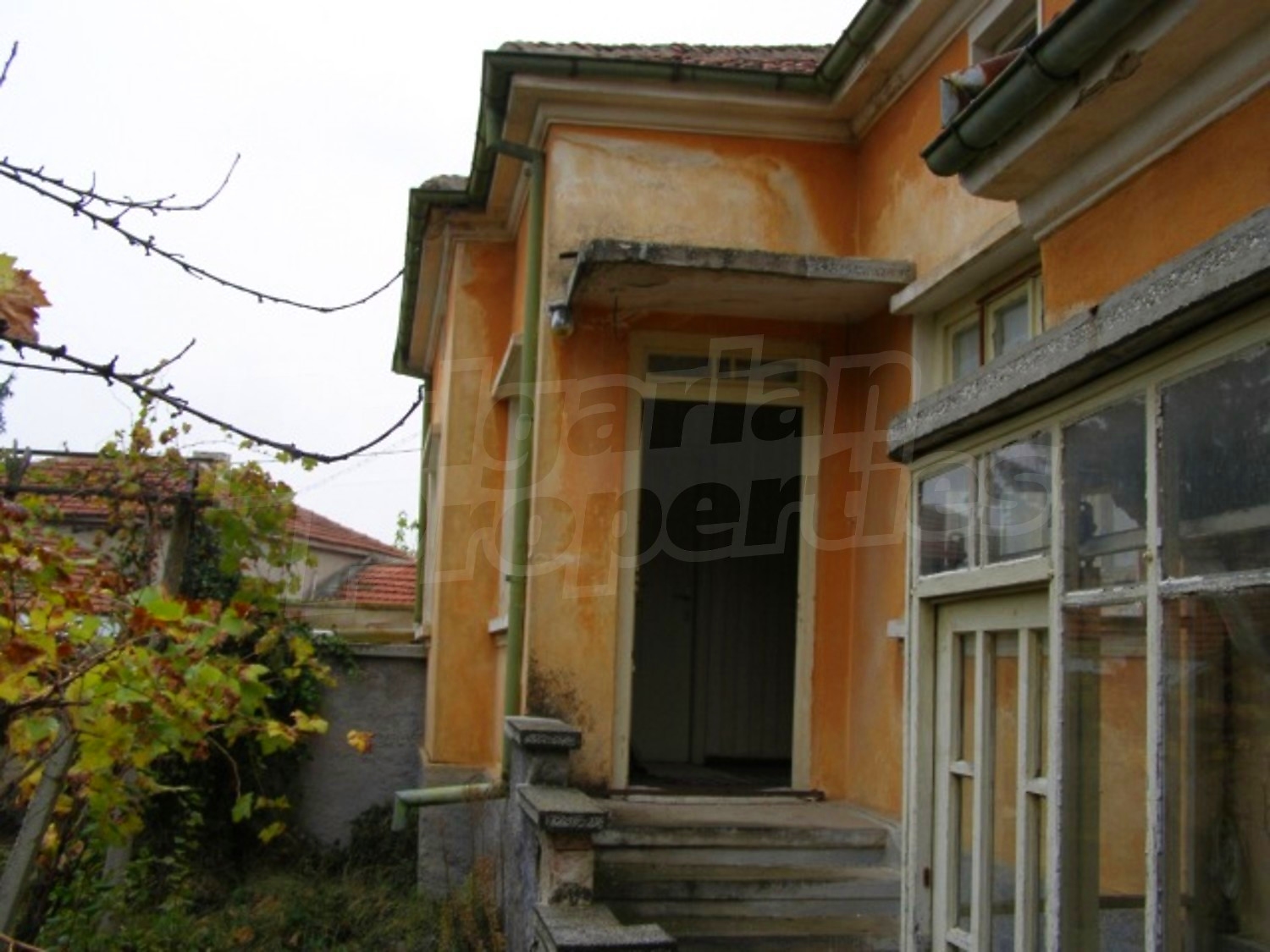 Gallery Picture 13