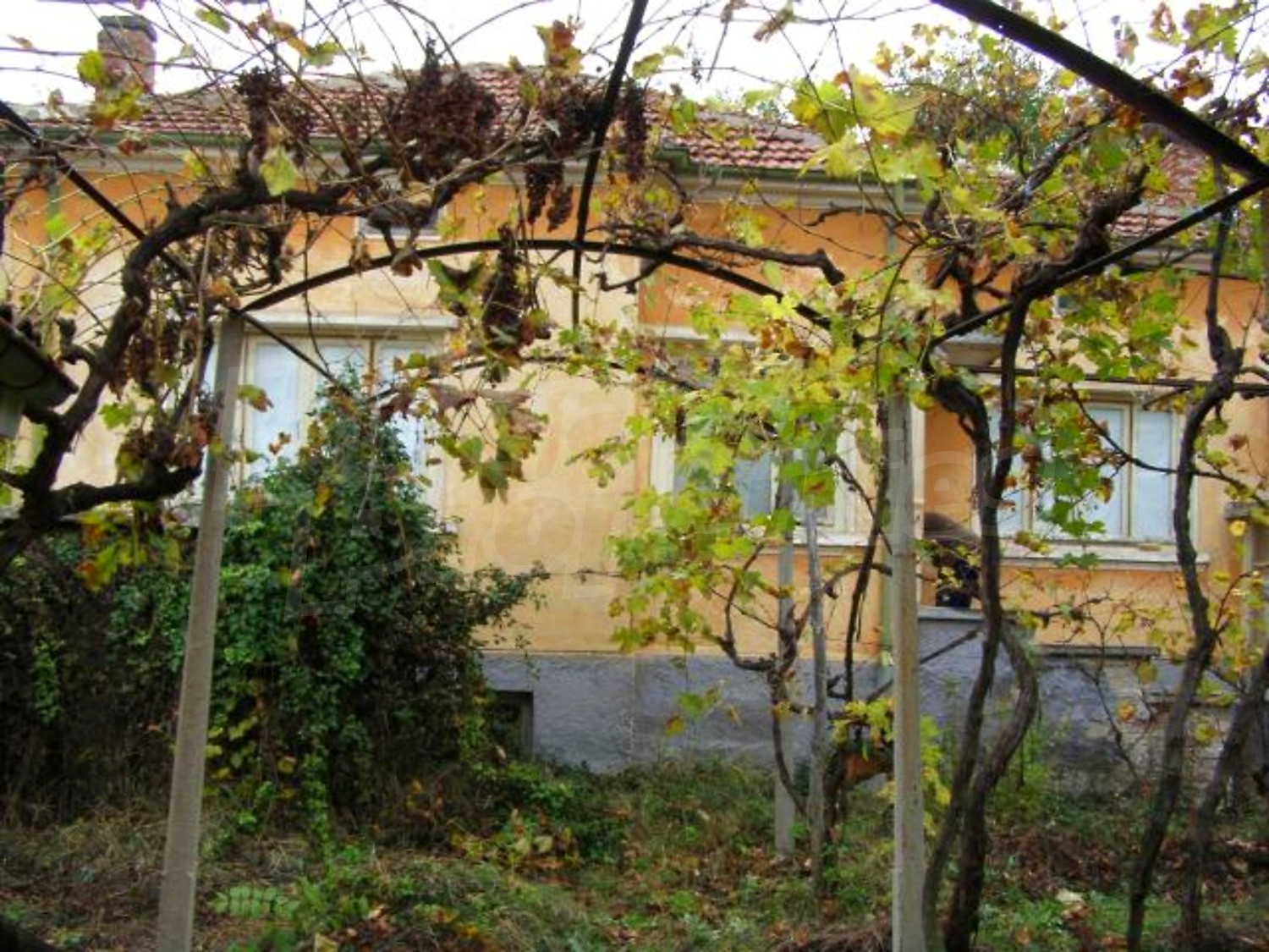 Gallery Picture 15
