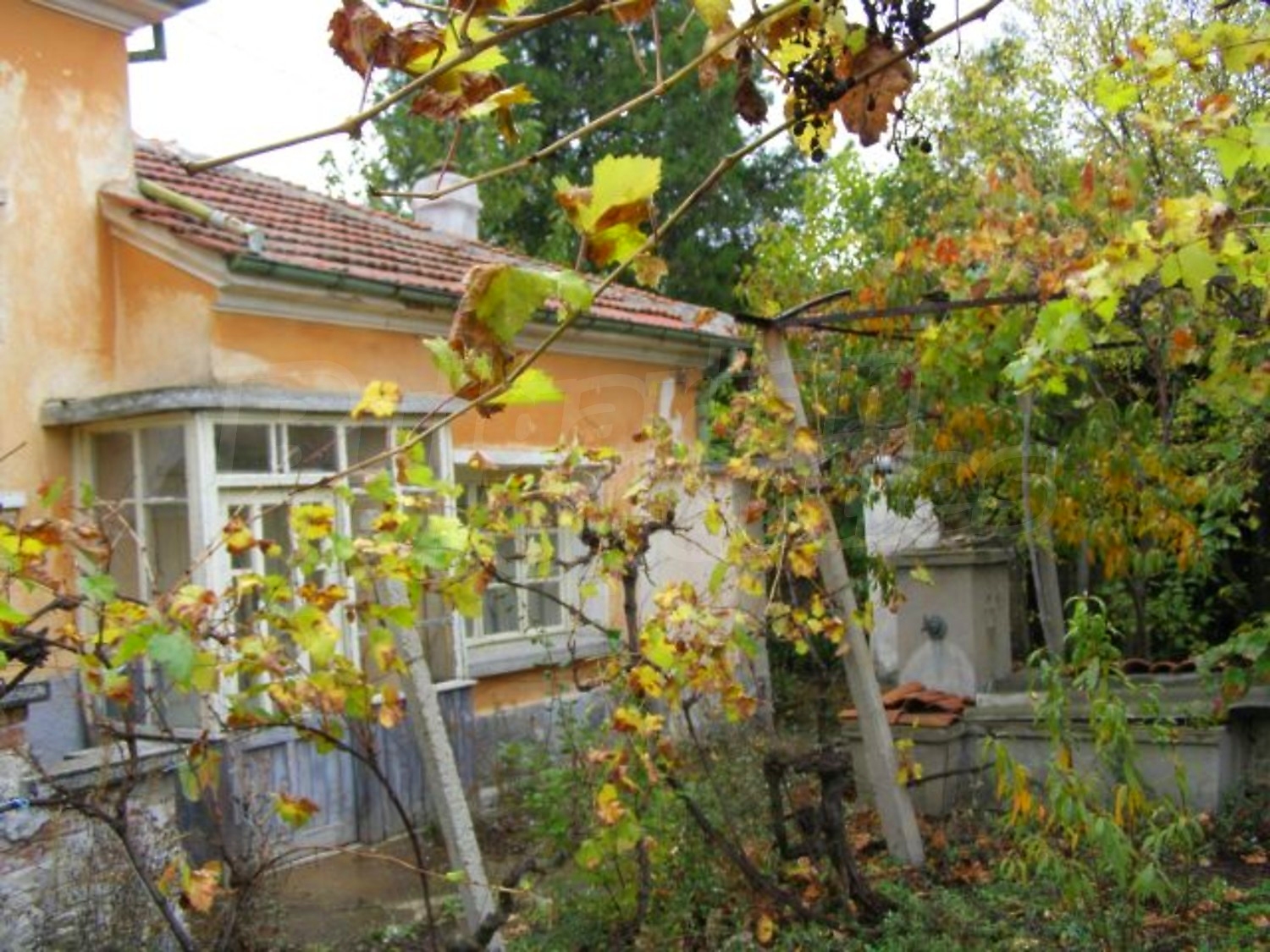 Gallery Picture 16