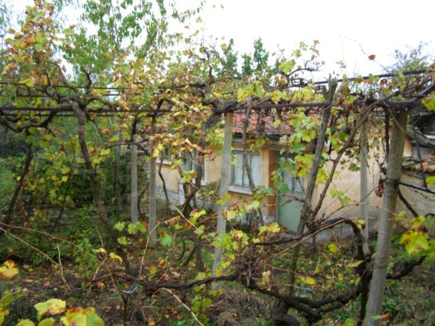 Gallery Picture 17