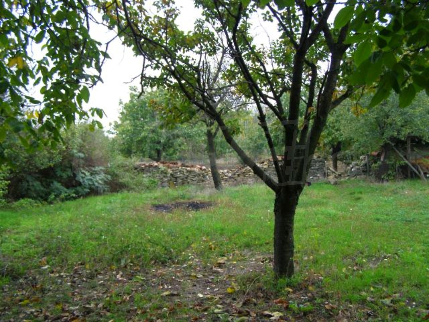 Gallery Picture 22