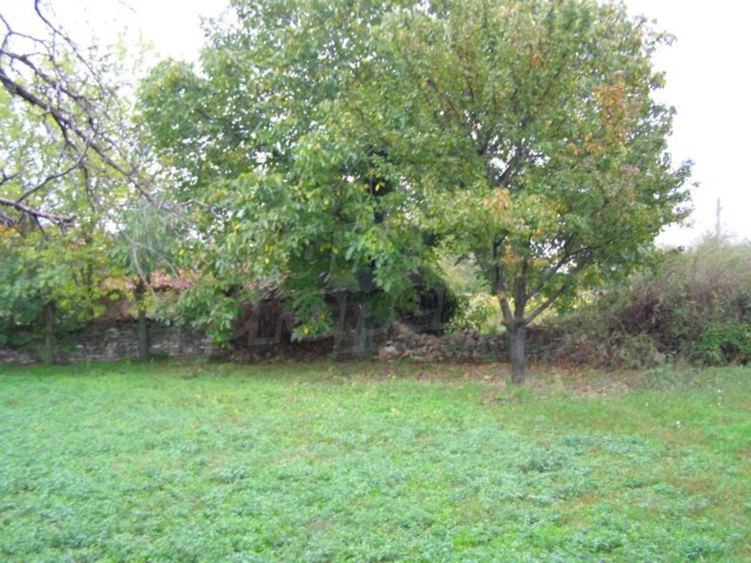 Gallery Picture 23