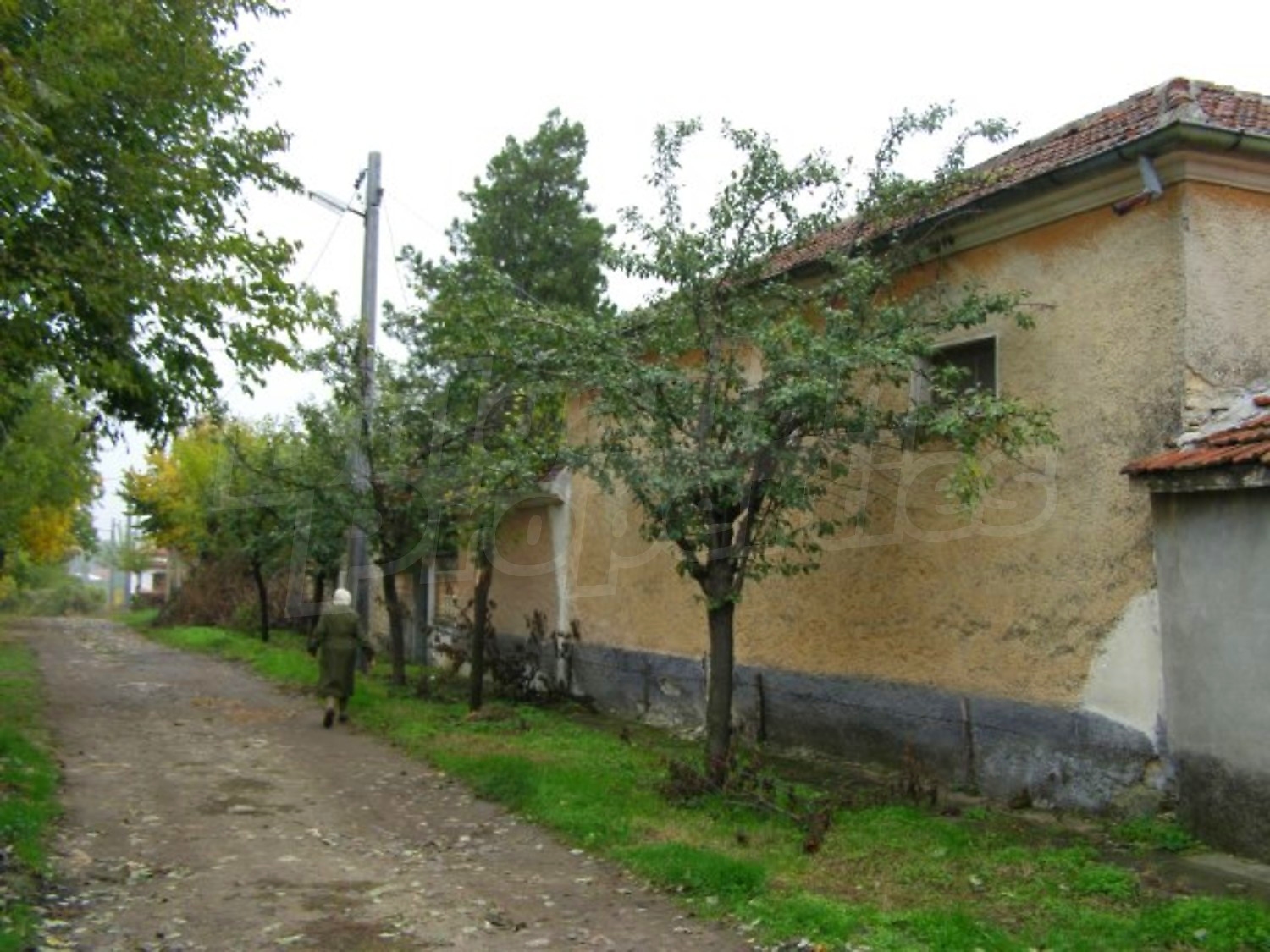 Gallery Picture 25