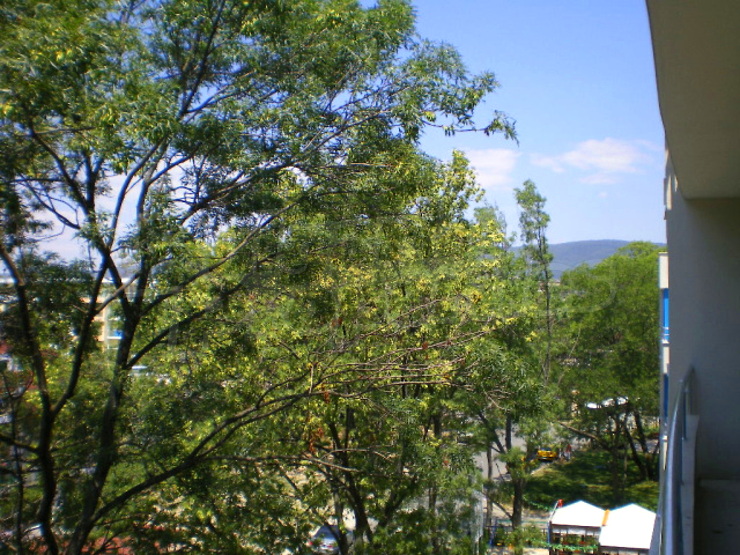 Gallery Picture 14