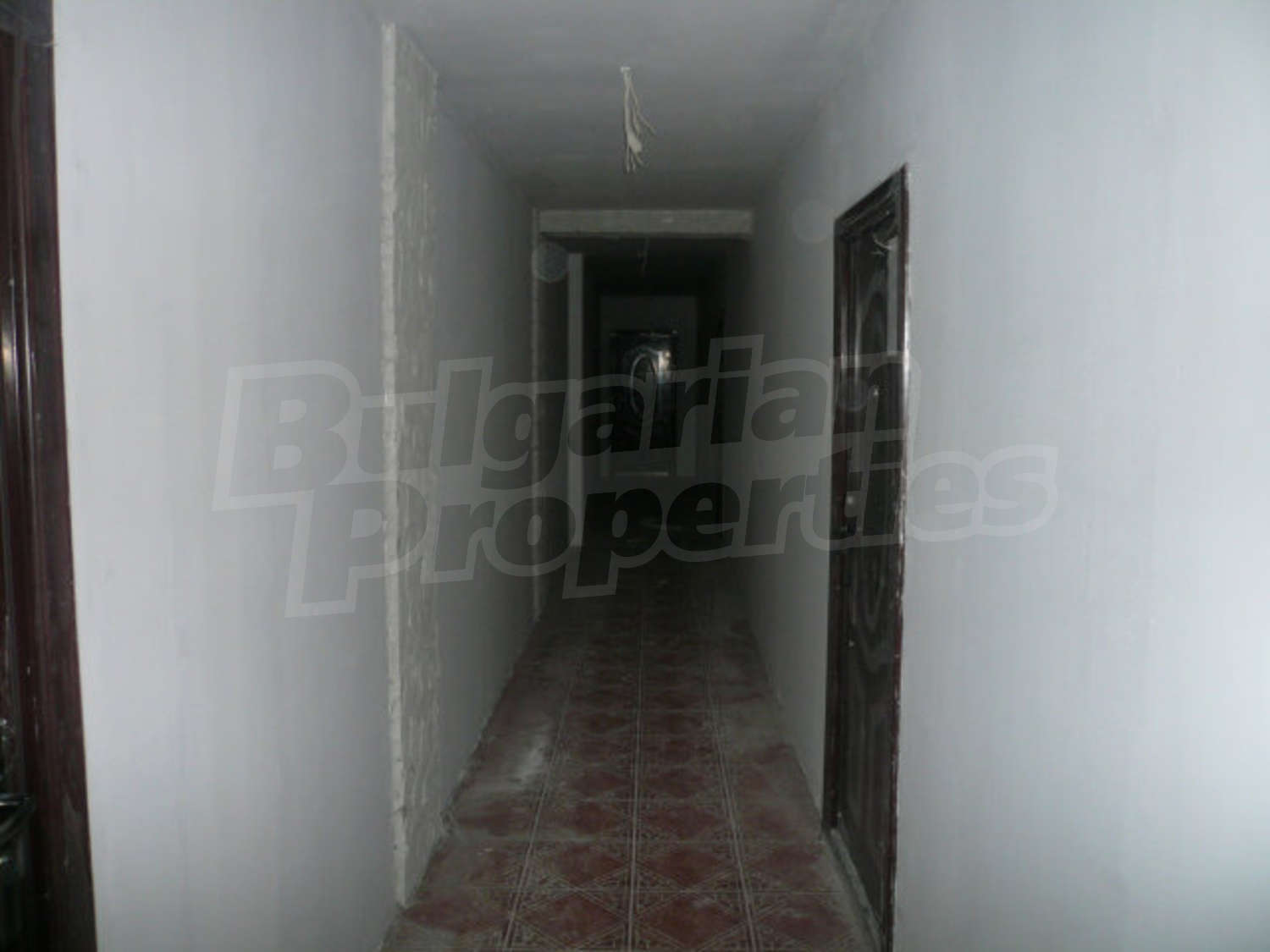 Gallery Picture 14