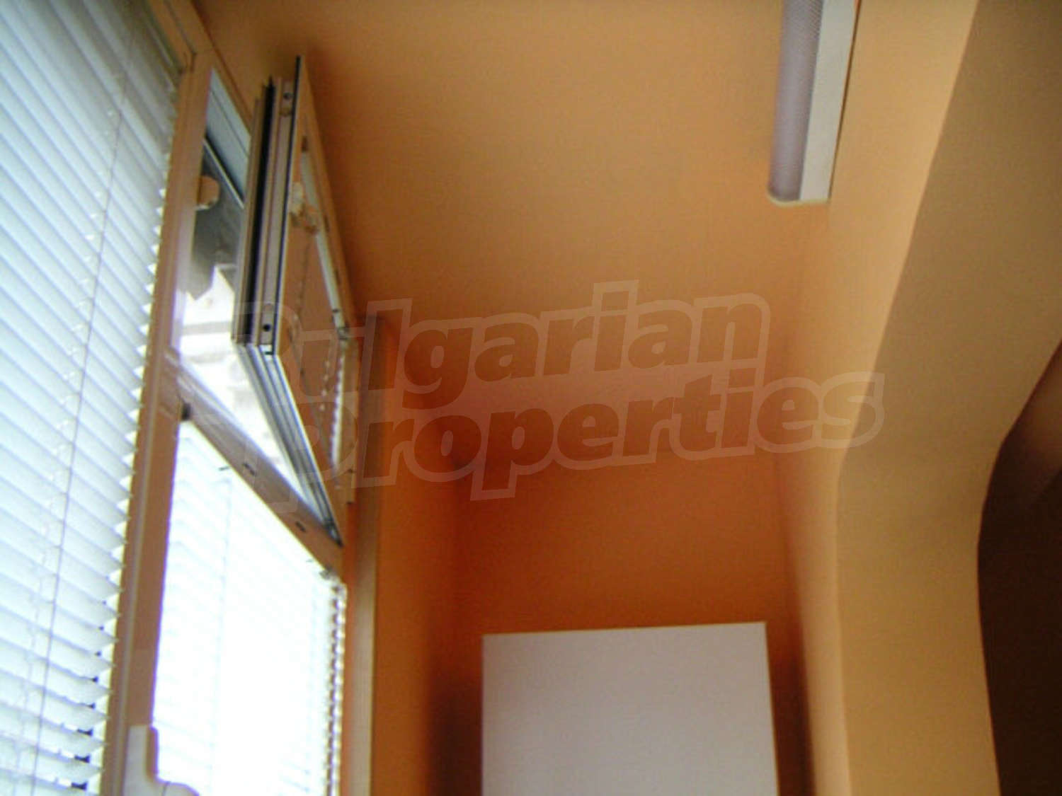 Gallery Picture 20