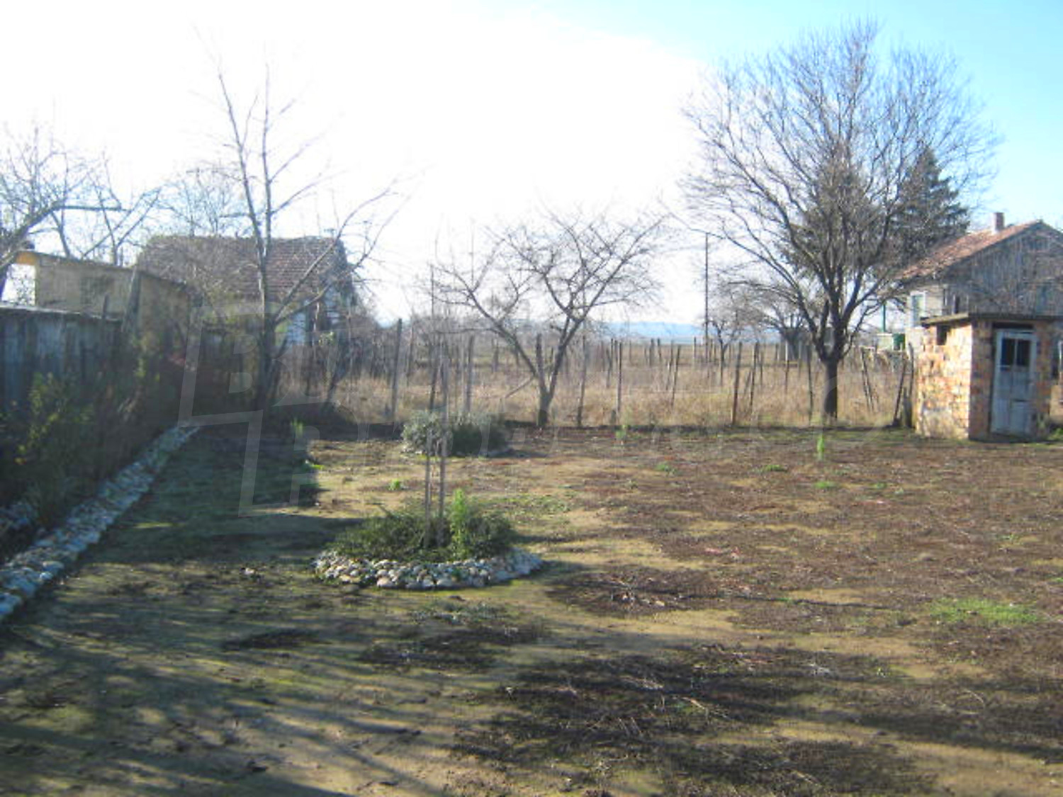 Gallery Picture 17