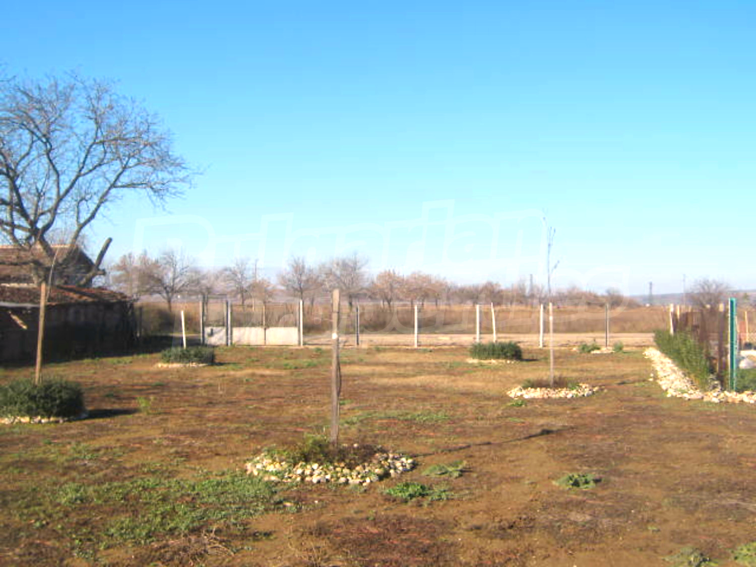 Gallery Picture 18