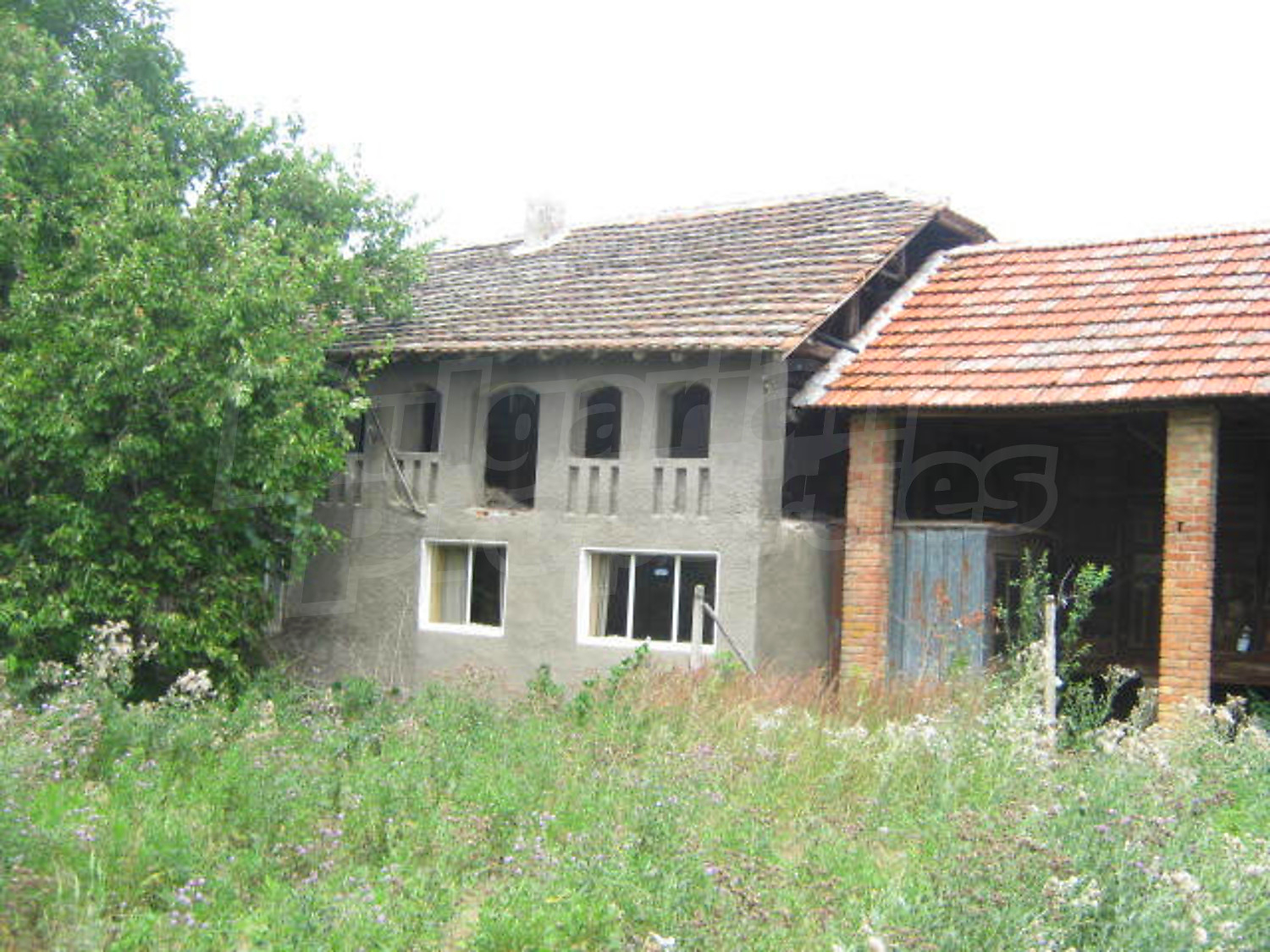 Gallery Picture 14