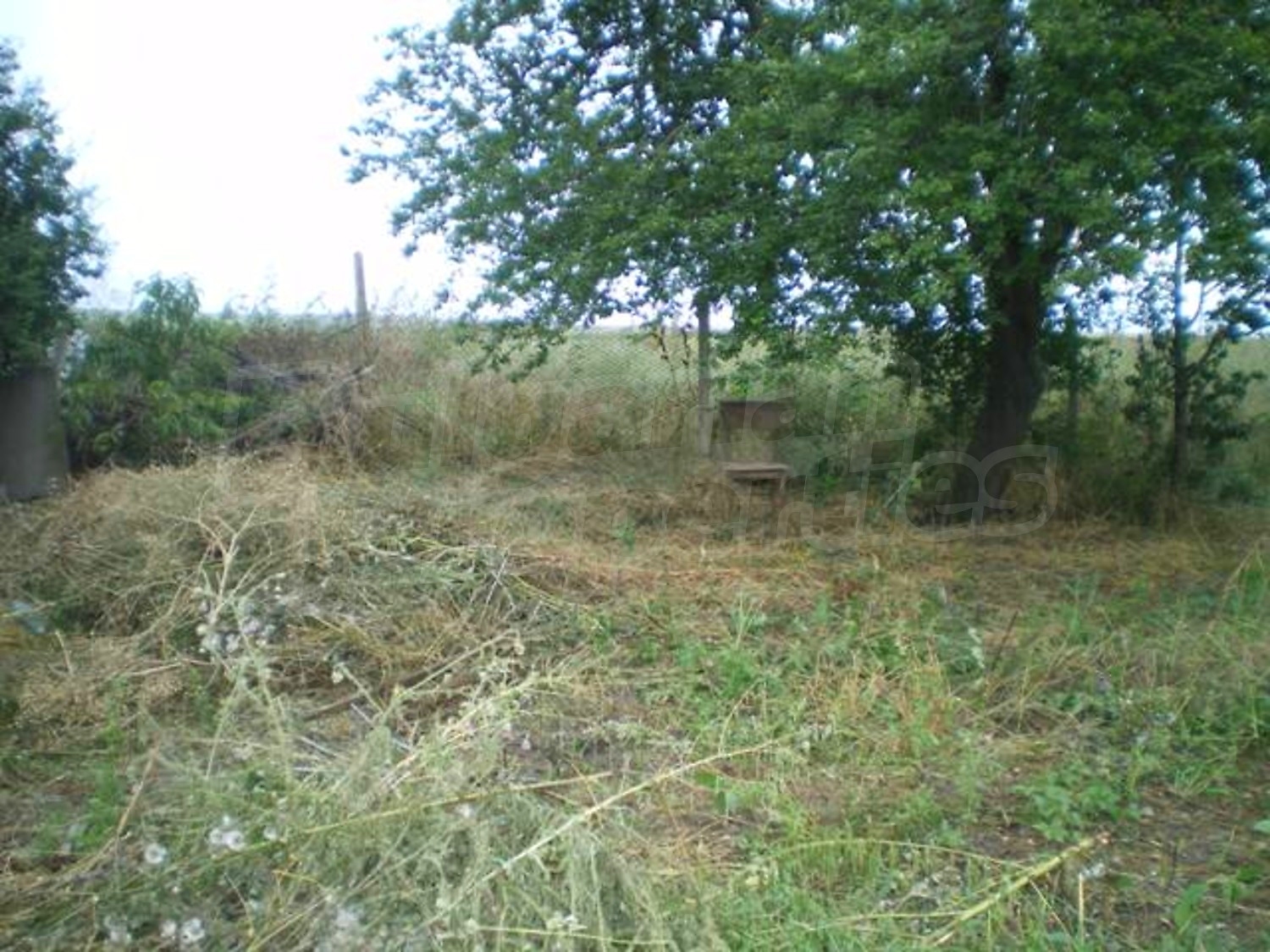 Gallery Picture 7