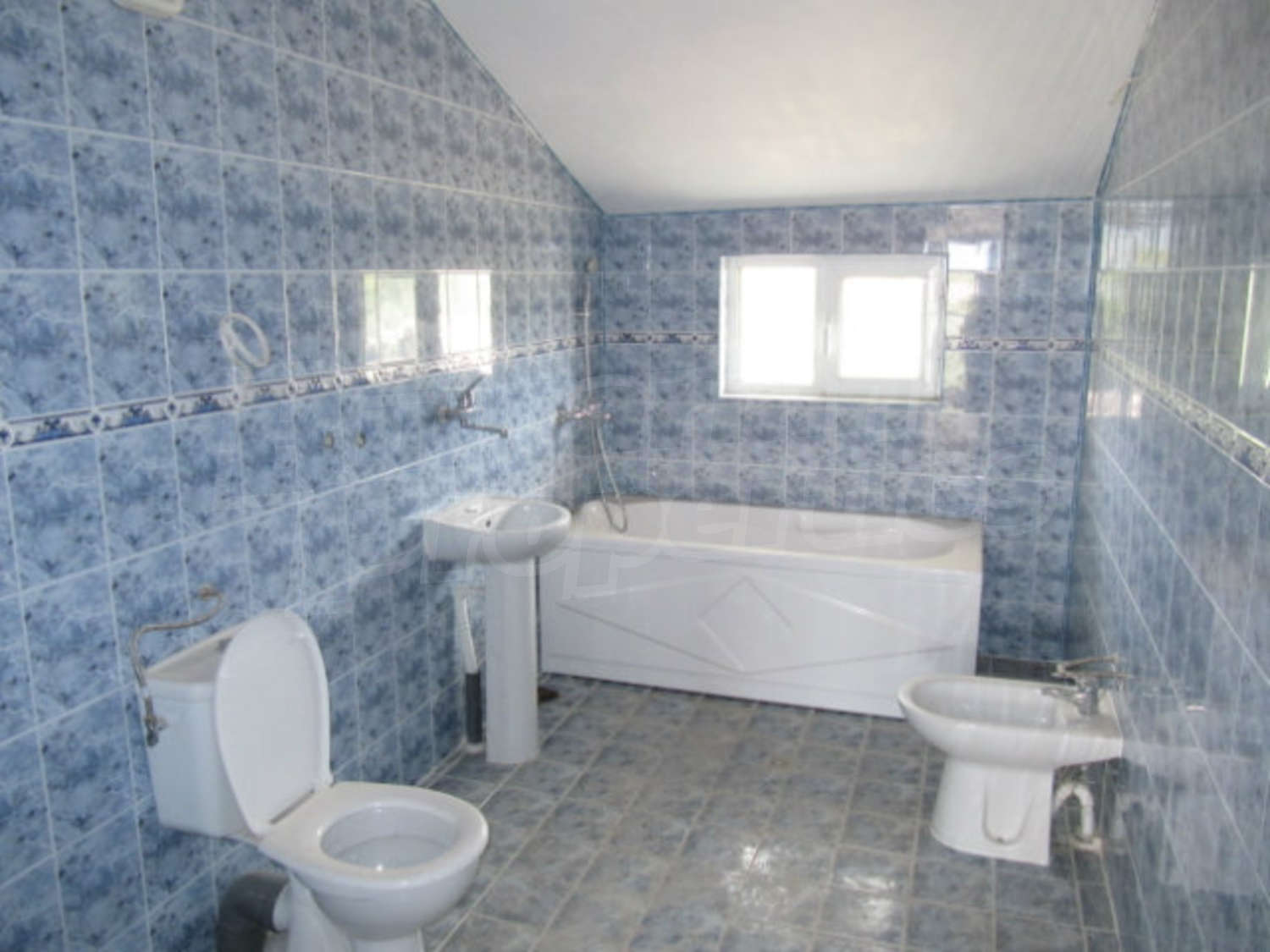 Gallery Picture 21