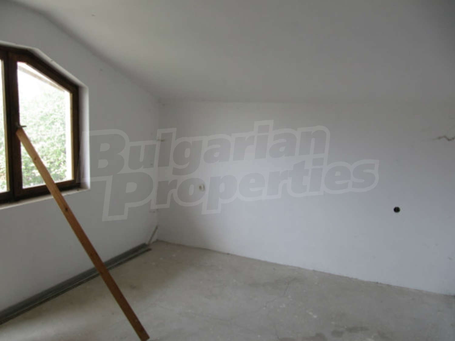 Gallery Picture 23