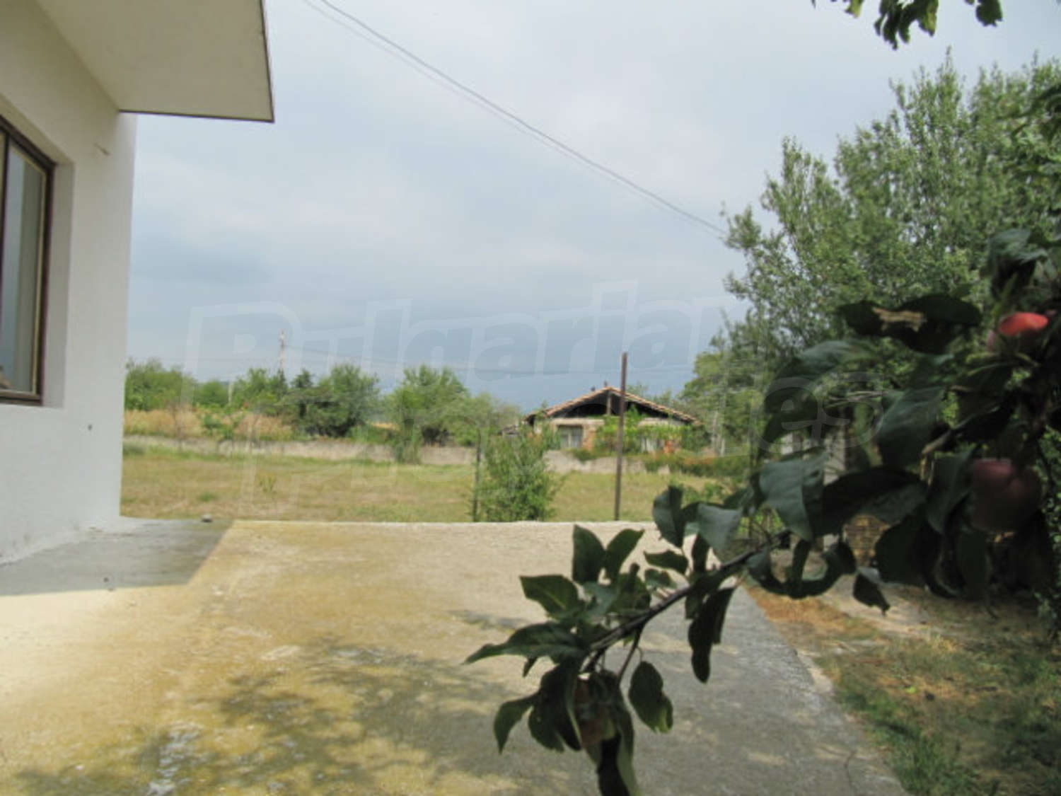 Gallery Picture 6