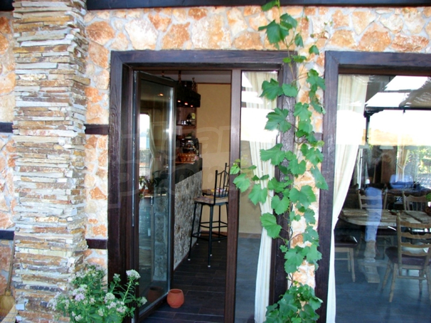 Gallery Picture 33